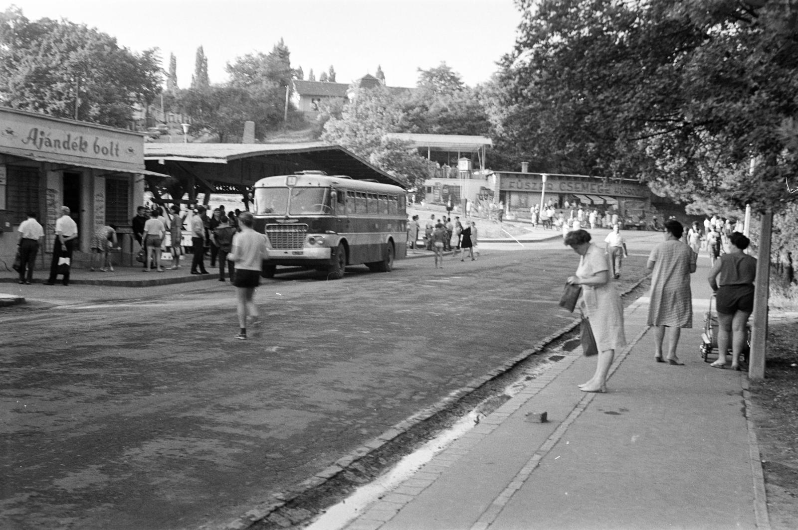Hungary, Miskolc,Miskolctapolca, Barabits Fülöp sétány, autóbusz-végállomás., 1968, Liszkay Ferenc, souvenir shop, bus, Ikarus 620, Ikarus-brand, Fortepan #287565