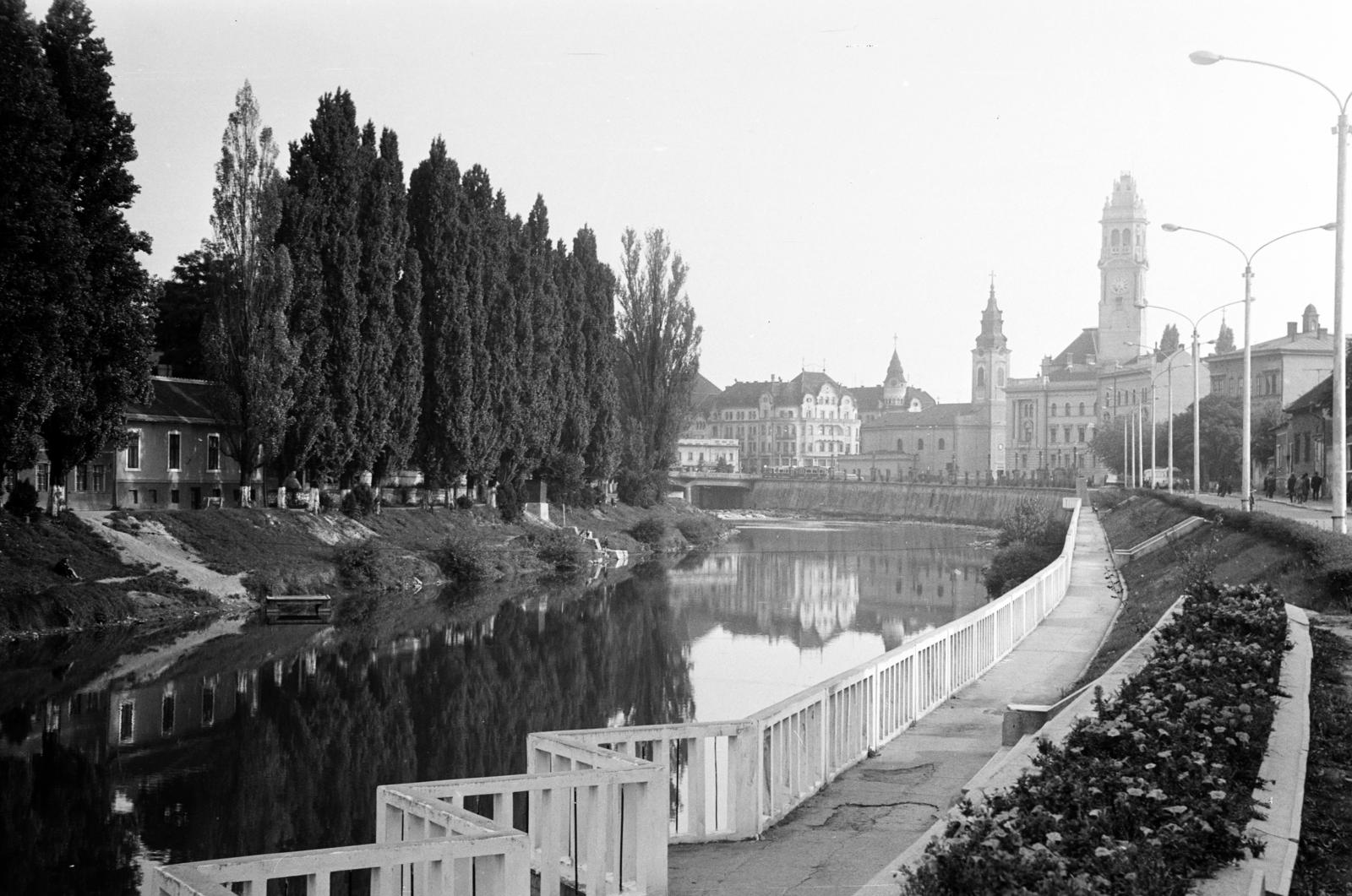 Románia,Erdély, Nagyvárad, a Sebes-Körös partja, szemben a Városháza, ettől balra a Szent László-templom, 1971, Liszkay Ferenc, jegenyefasor, víztükör, Fortepan #287604