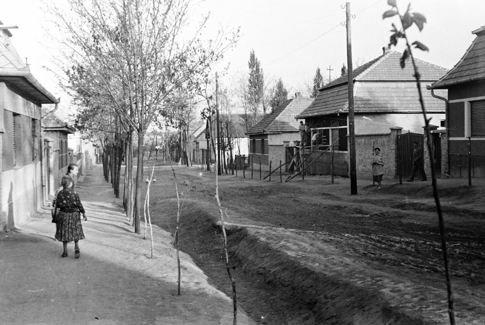 1960, Pécsi család, Fortepan #287742