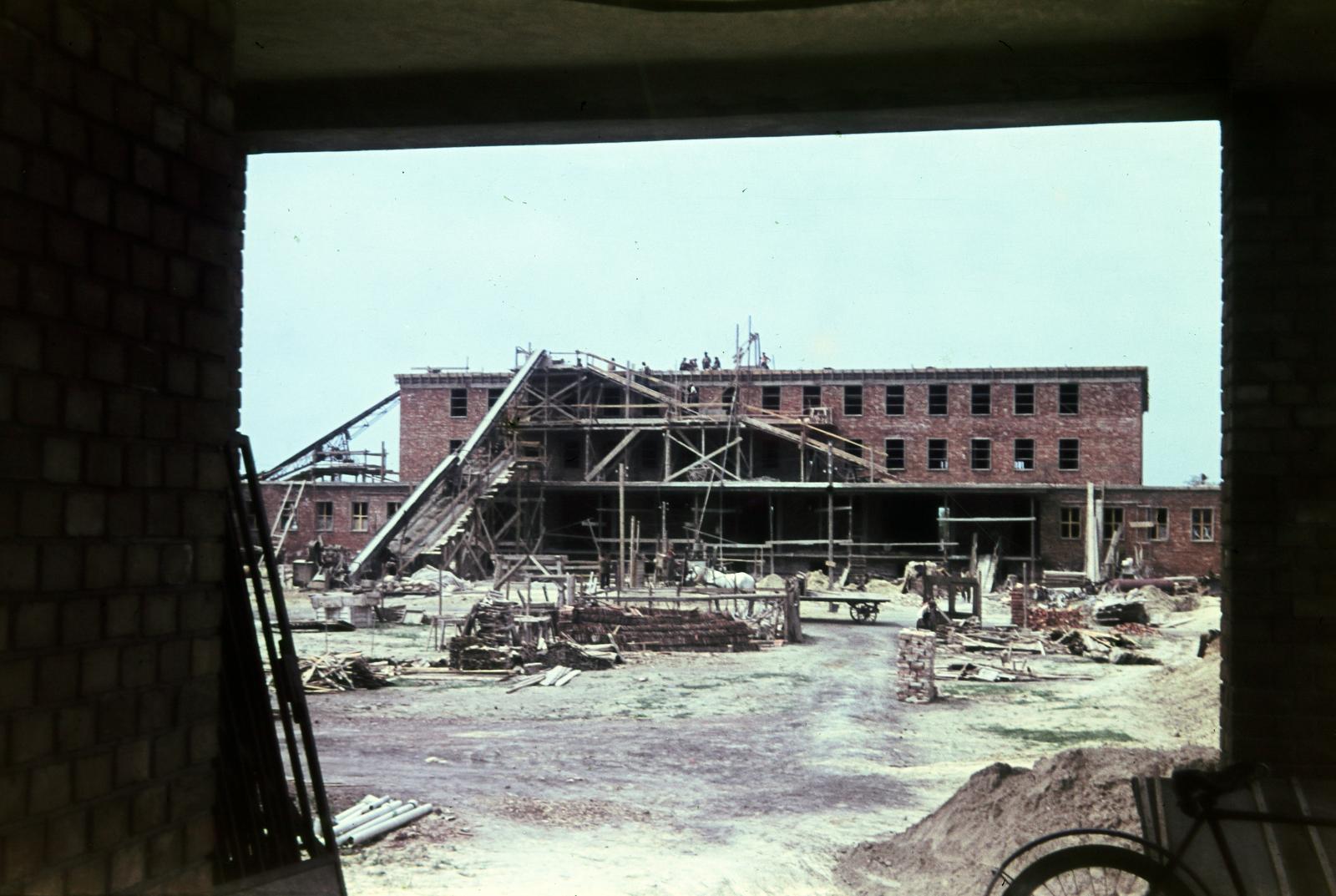 1955, Csaba László örökösei, colorful, construction, Fortepan #287813