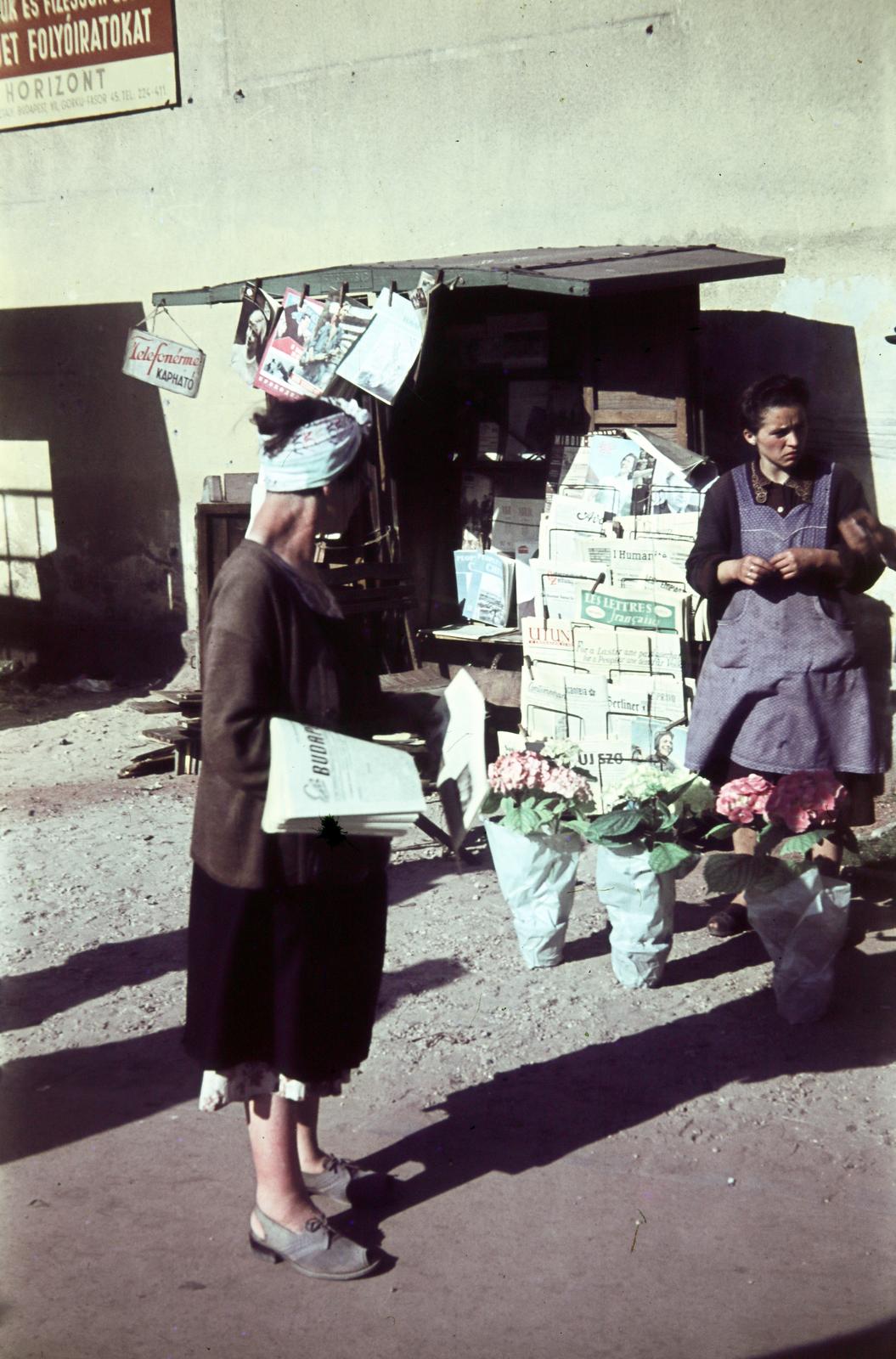 Hungary, Budapest, 1953, Csaba László örökösei, colorful, florist, women, newsstand, Fortepan #287814