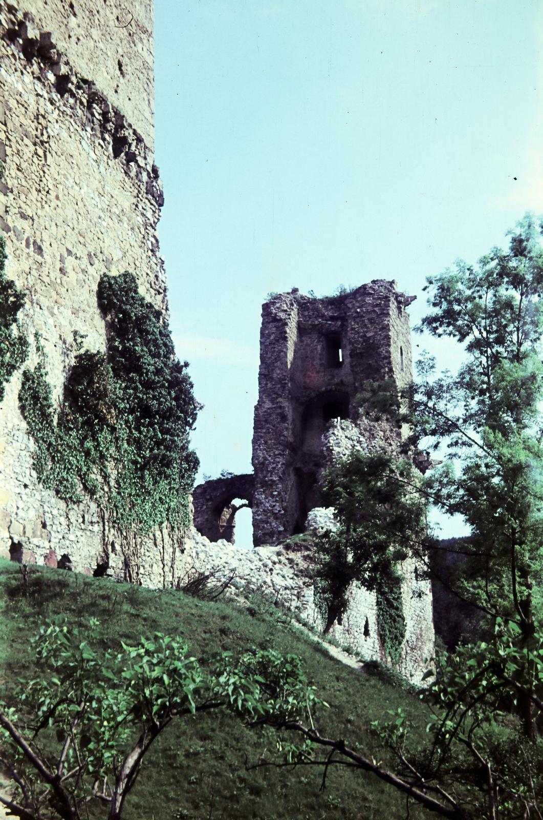 1955, Csaba László örökösei, colorful, ruins, Fortepan #287815