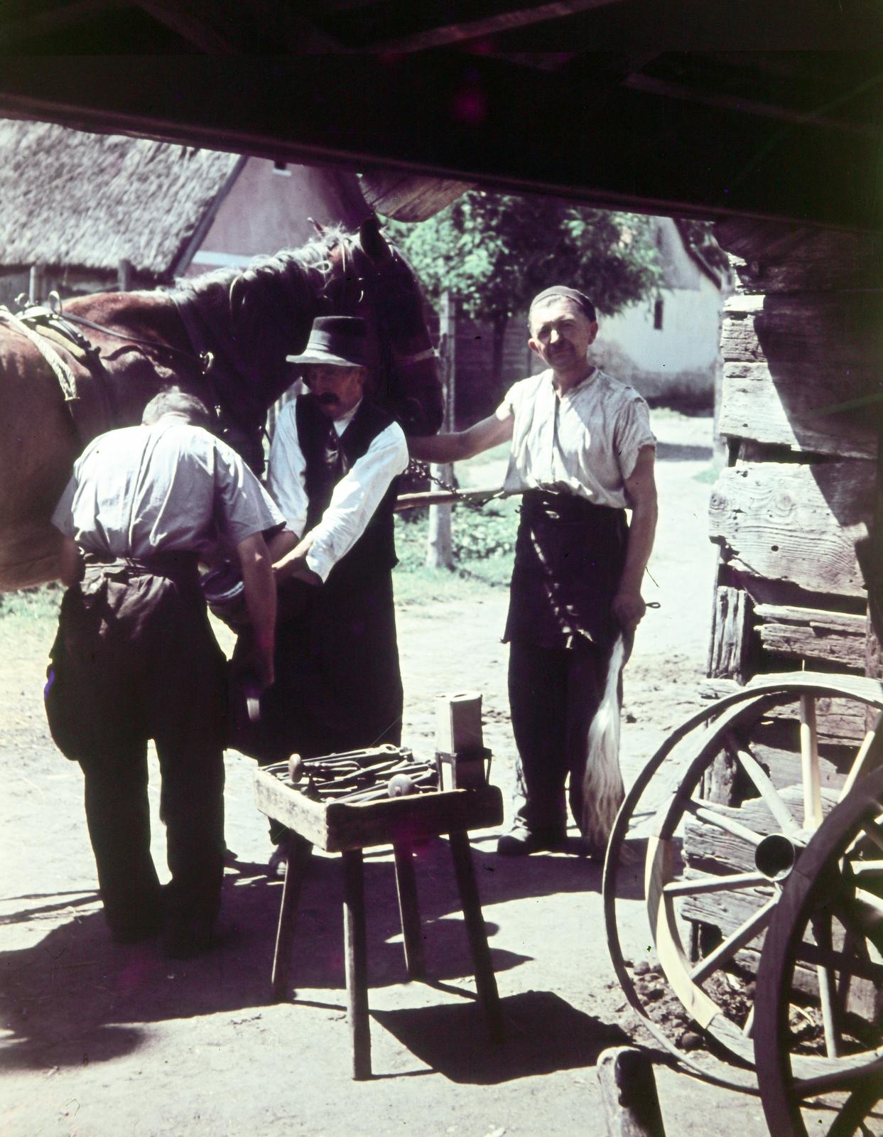 1955, Csaba László örökösei, colorful, folk costume, thatched roof, cartwheel, blacksmith, rolled up sleeves, tool, shoeing, Fortepan #287824