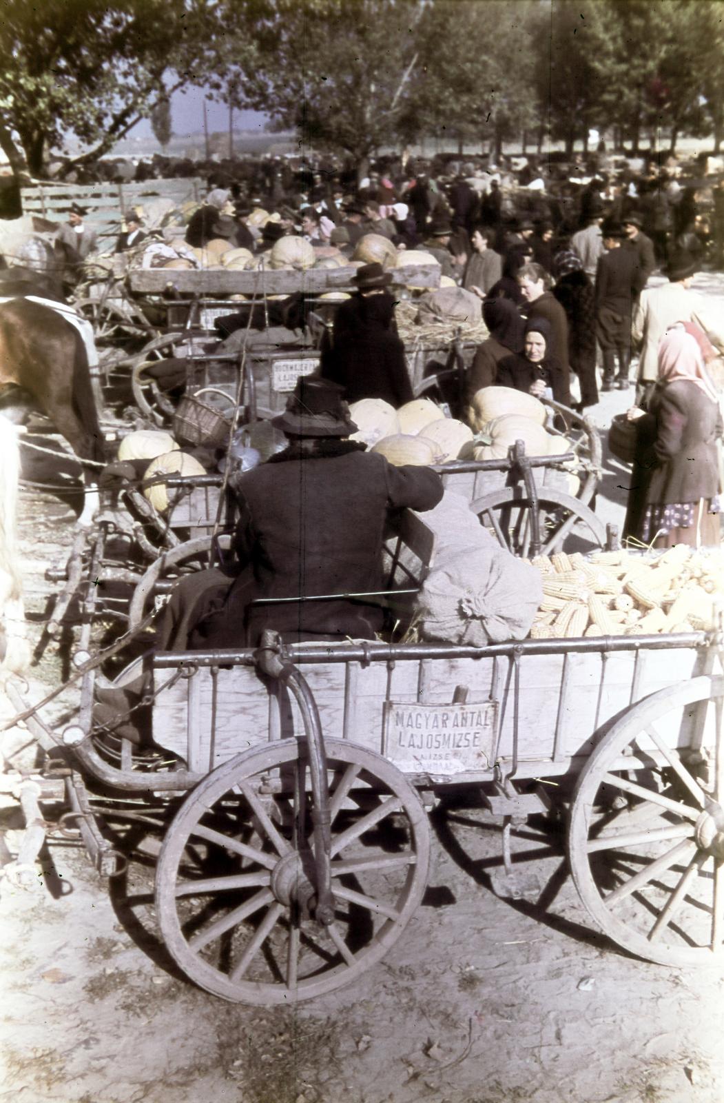 1955, Csaba László örökösei, market, Horse-drawn carriage, chariot, back, peasant, agriculture, fair, Fortepan #287829