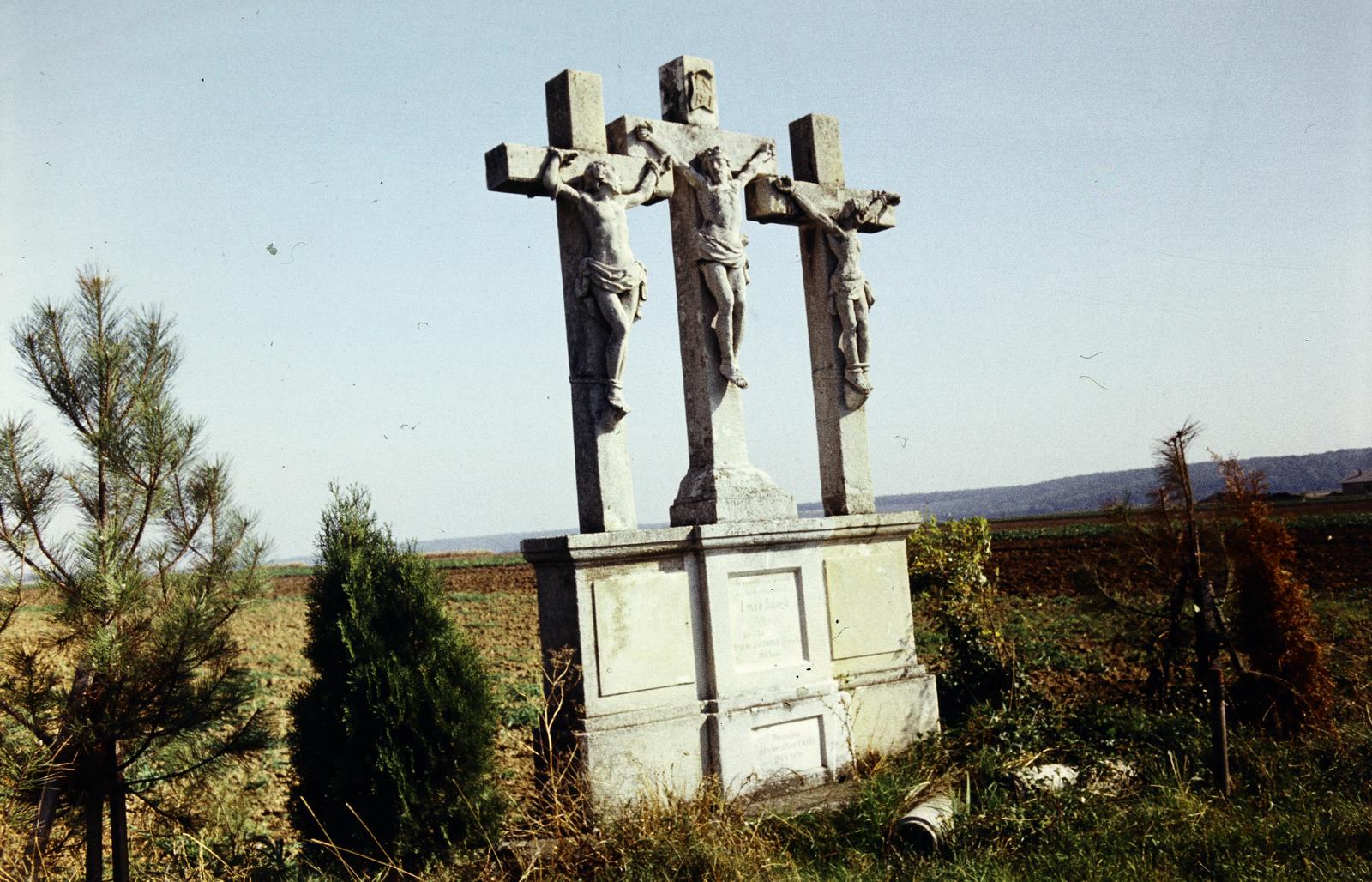 1981, Csaba László örökösei, cross, Fortepan #288547