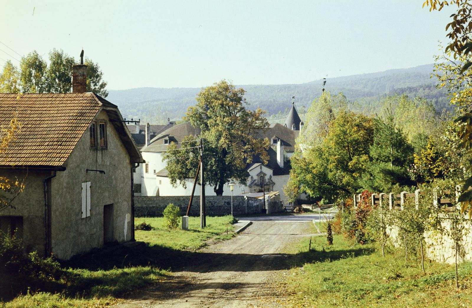 Austria, Lindenallee, szemben a Vízivár., 1981, Csaba László örökösei, Fortepan #288550