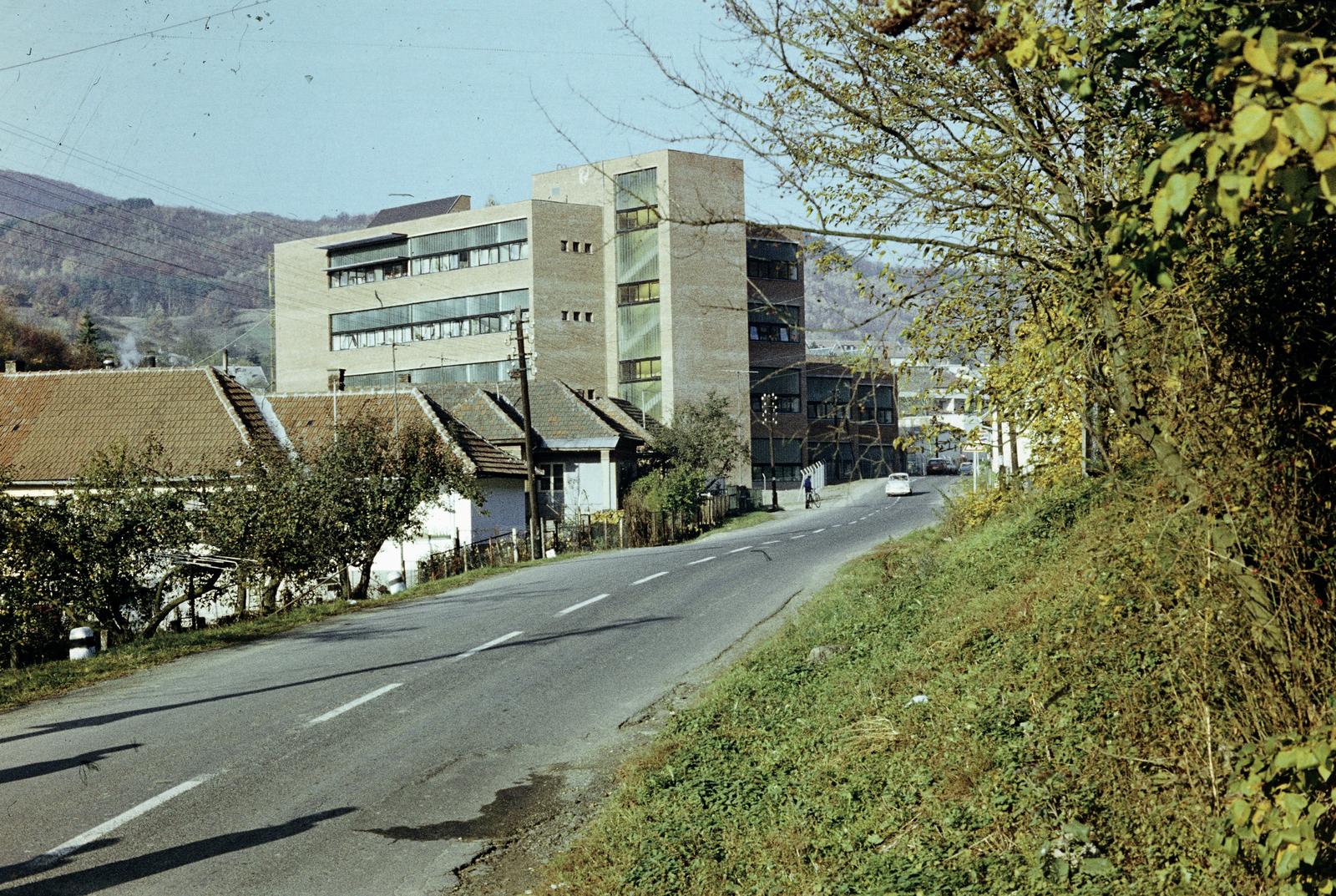 Magyarország, Hollóháza, Károlyi (Dózsa György) út, a Hollóházi Porcelángyár gyártó üzeme., 1985, Csaba László örökösei, Fortepan #288573