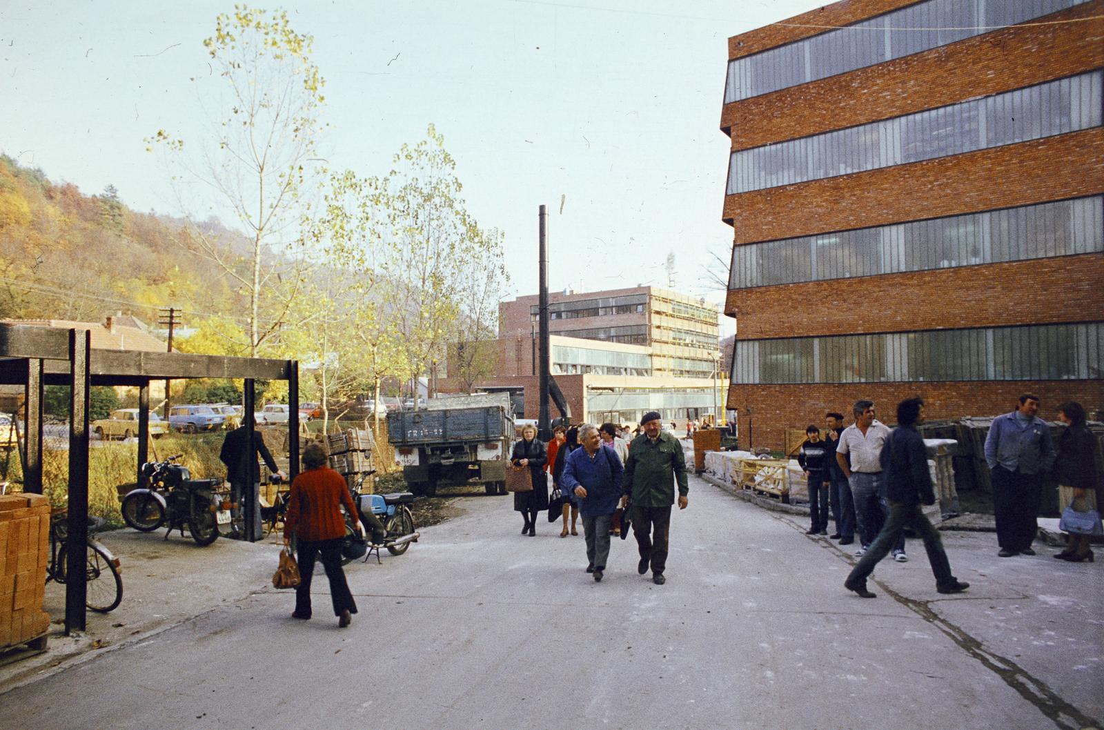 Magyarország, Hollóháza, Hollóházi Porcelángyár., 1982, Csaba László örökösei, Fortepan #288574