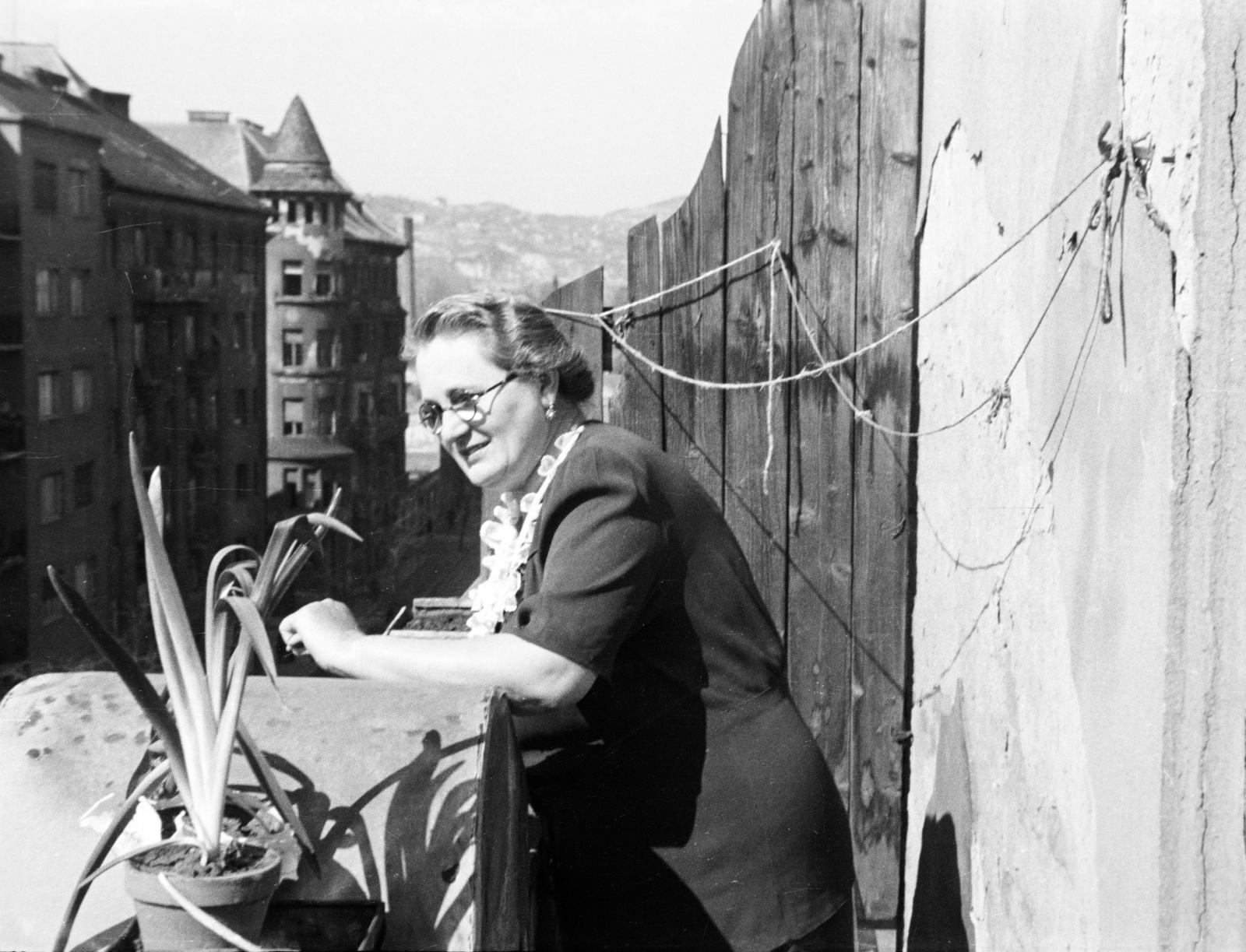 Magyarország, Budapest XIII., Gogol utca, a felvétel a 38-as számú ház teraszán készült, háttérben a Visegrádi utca sarkán álló kupolás épület látható., 1950, Csaba László örökösei, Best of, hölgy, szobanövény, Budapest, Fortepan #288635