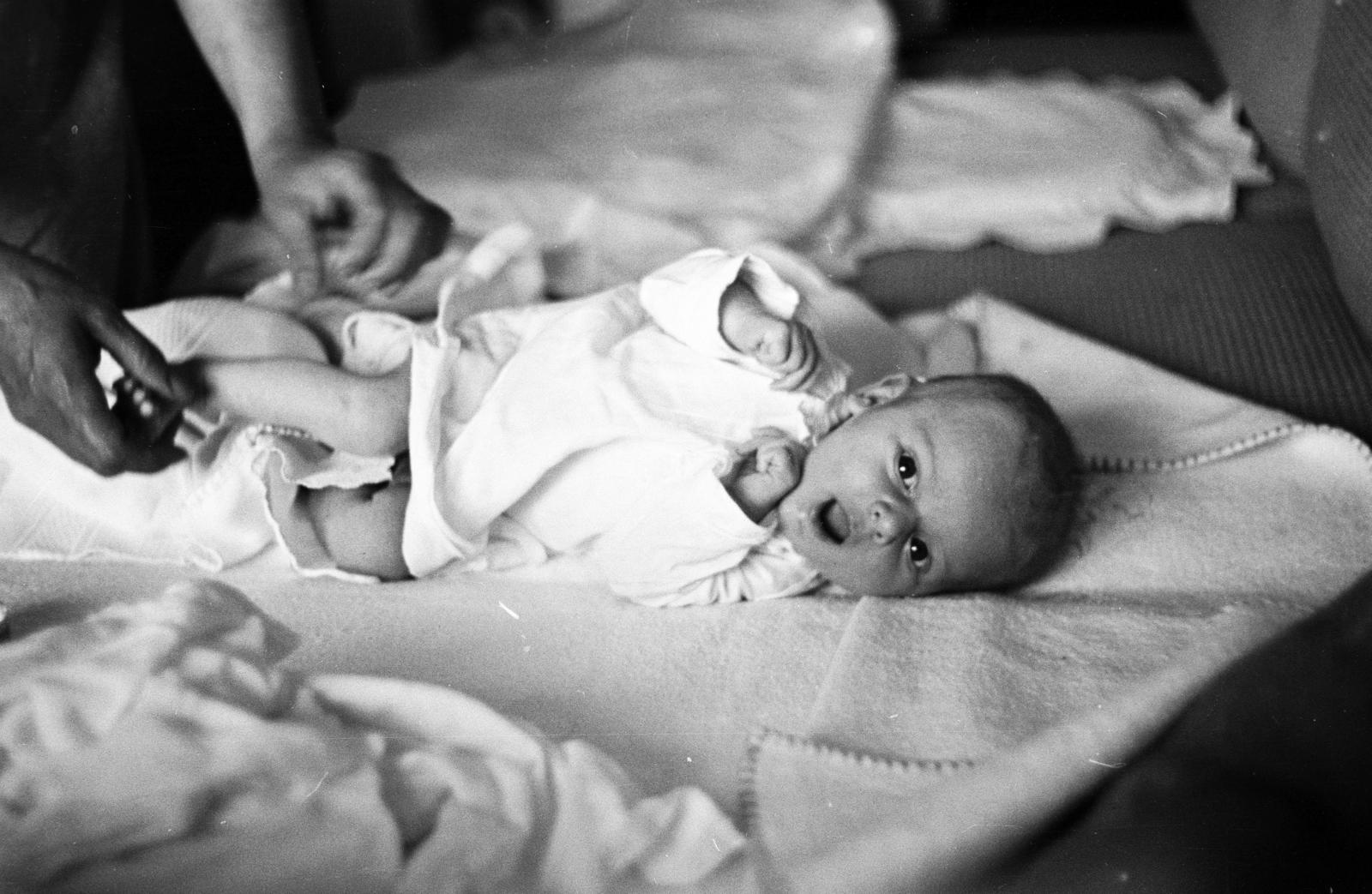 1952, Csaba László örökösei, newborn, Fortepan #288667