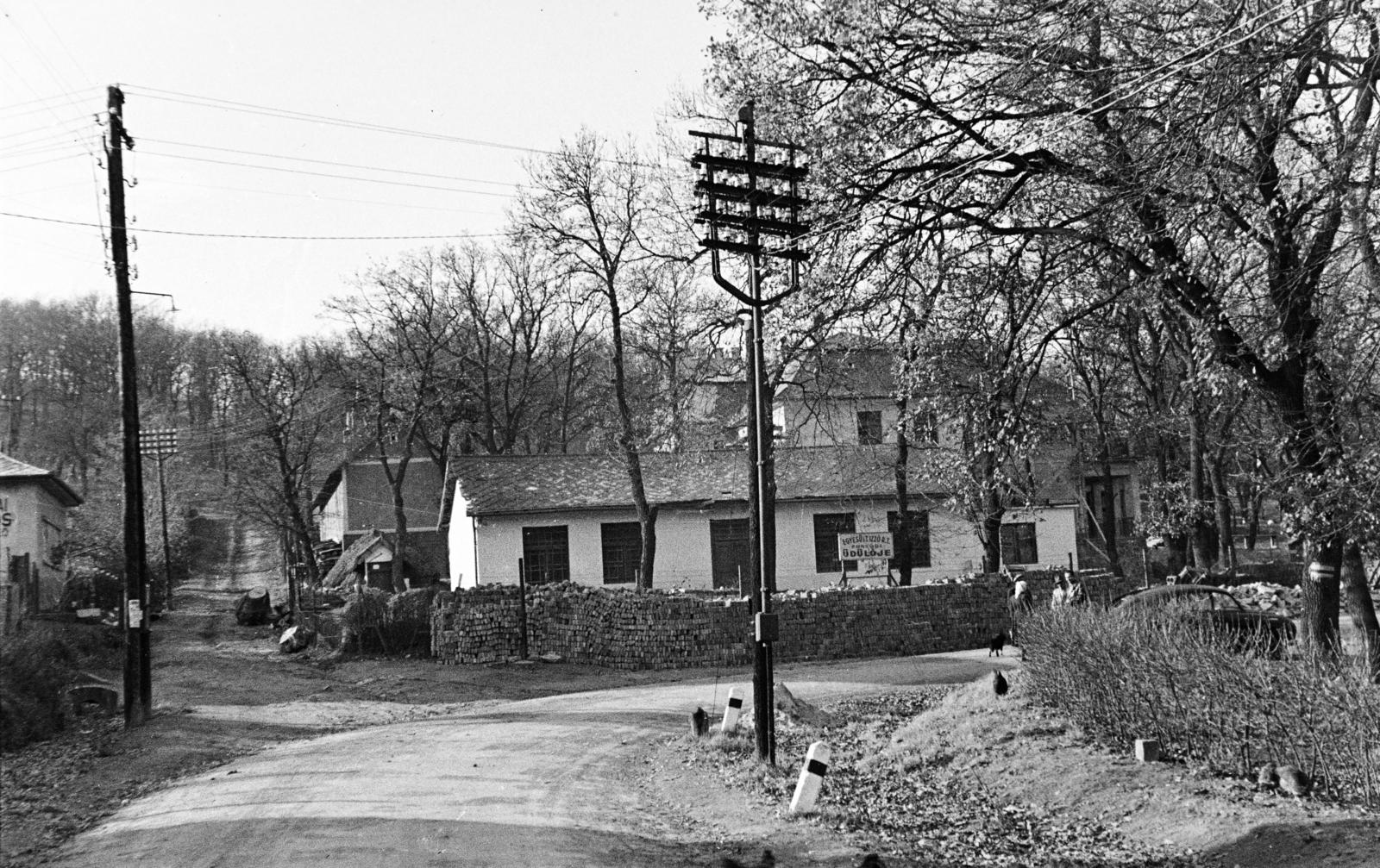 Magyarország,Balaton, Fonyód, Bartók Béla út 20., az Egyesült Izzólámpa és Villamossági Rt. Üdülője., 1950, Csaba László örökösei, villanyoszlop, Fortepan #288672