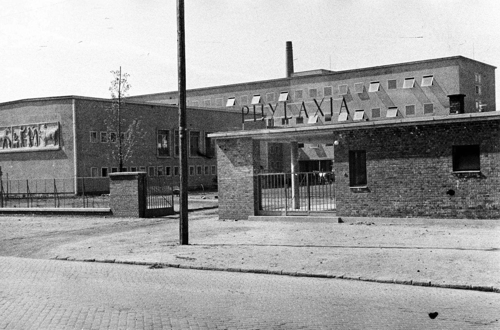 Hungary, Budapest X., Szállás utca 5-7., Phylaxia Állami Oltóanyagtermelő Intézet., 1953, Csaba László örökösei, factory, modern architecture, main entrance, flat roof, relief, vaccine, Budapest, Fortepan #288674