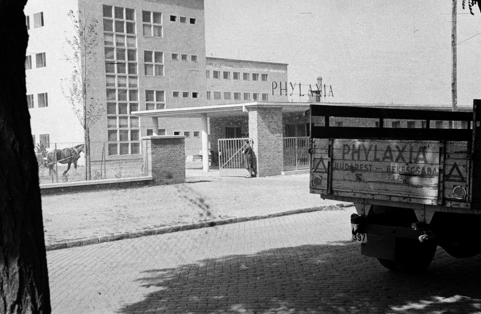 Magyarország, Budapest X., Szállás utca 5-7., Phylaxia Állami Oltóanyagtermelő Intézet., 1953, Csaba László örökösei, gyártelep, oltás, Budapest, Fortepan #288677