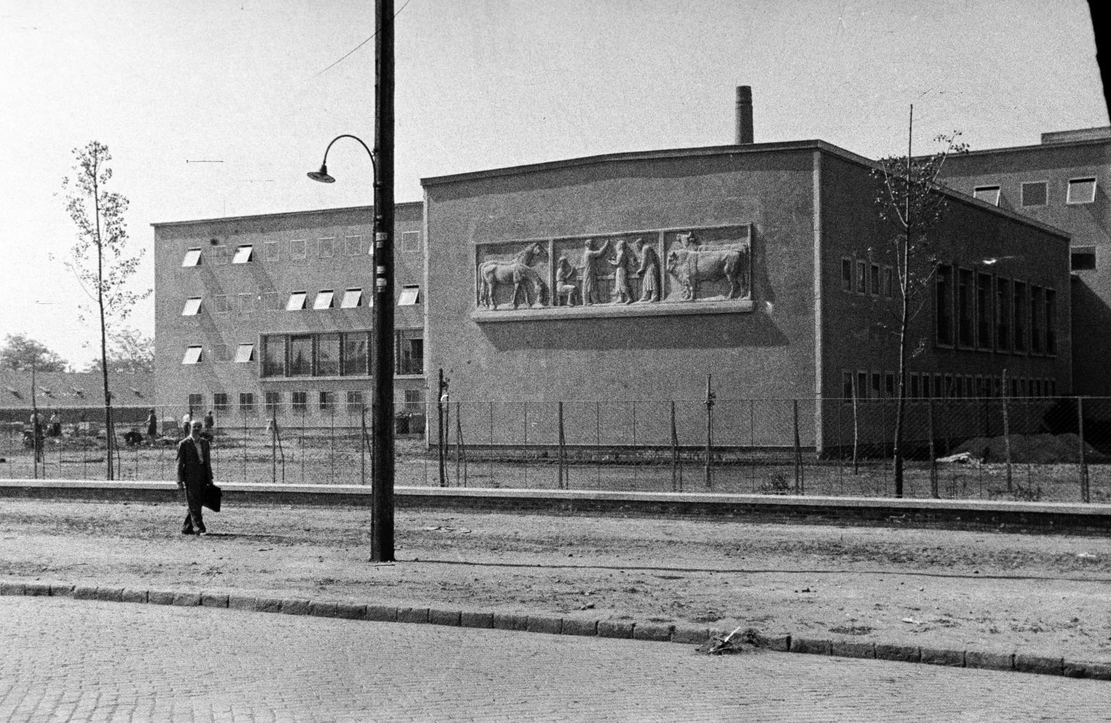 Hungary, Budapest X., Szállás utca 5-7., Phylaxia Állami Oltóanyagtermelő Intézet., 1953, Csaba László örökösei, healthcare, cattle, animal, relief, vaccine, Budapest, Fortepan #288678