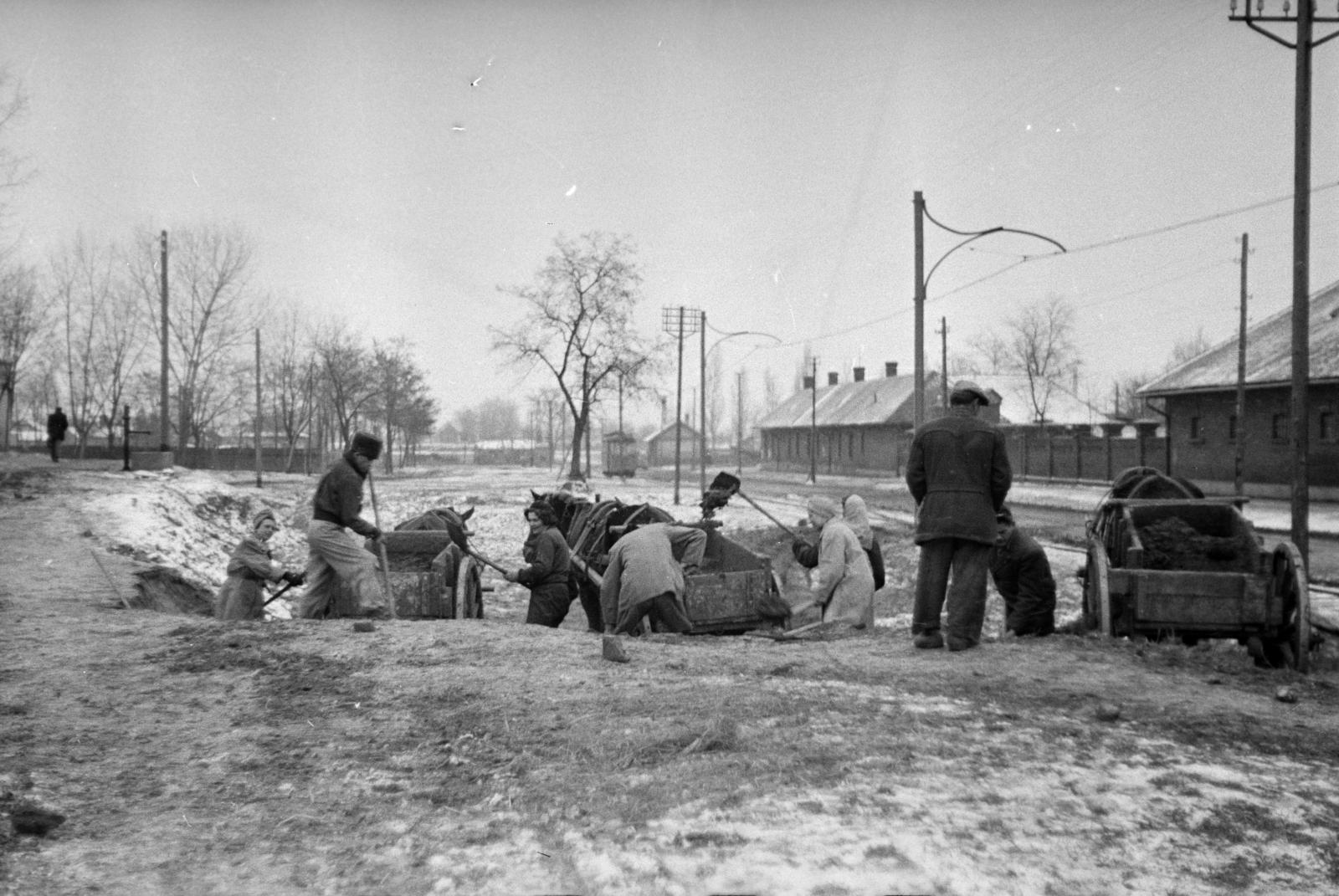 Hungary, Debrecen, Vágóhíd utca., 1951, Csaba László örökösei, Horse-drawn carriage, shovel, Fortepan #288688