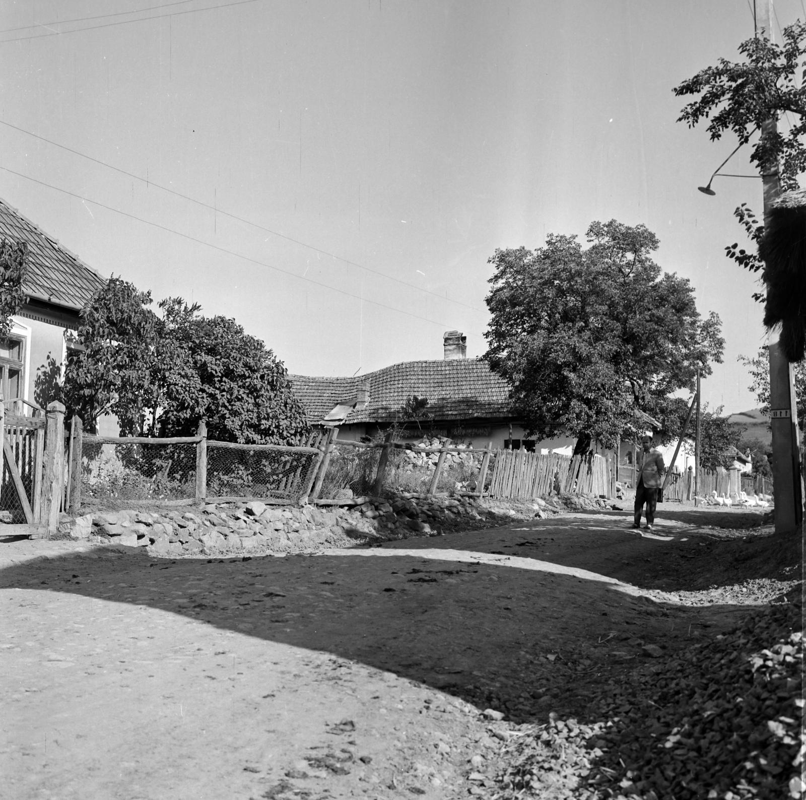 1958, Csaba László örökösei, fence, dirt road, Fortepan #288691