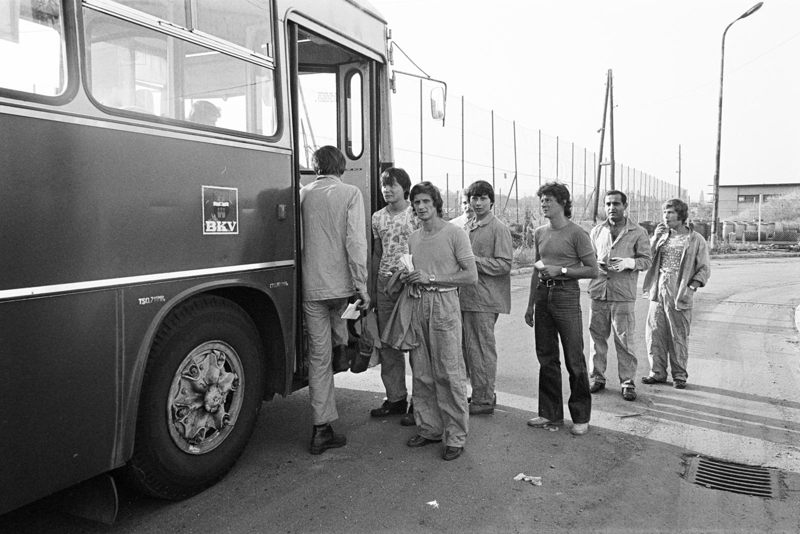 1981, Prohászka Imre, bus, Ikarus-brand, BKV-organisation, Fortepan #288706