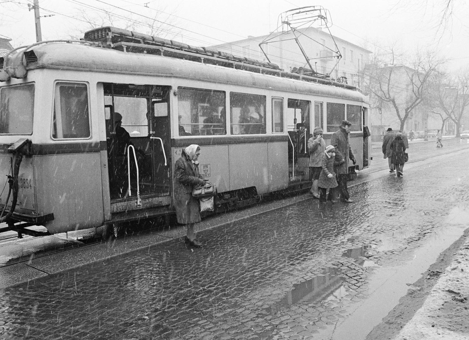 Hungary, Budapest XIV., Thököly út, villamosmegálló az Amerikai út kereszteződésénél., 1982, Prohászka Imre, Budapest, winter, transport, tram, tram stop, Fortepan #288791