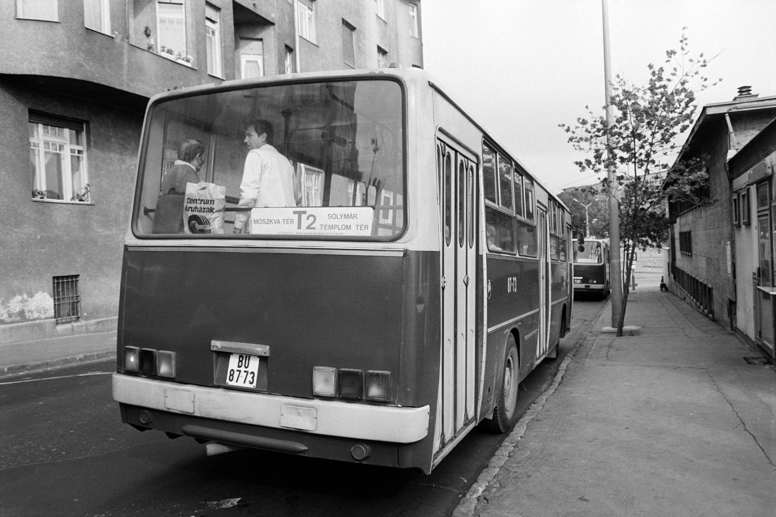 1982, Prohászka Imre, number plate, bus stop, Ikarus-brand, Fortepan #288822