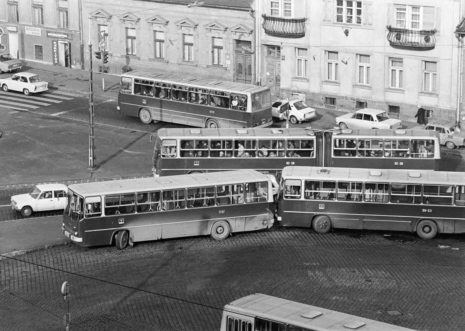 Hungary, Budapest II., Széll Kálmán (Moszkva) tér., 1979, Prohászka Imre, BKV-organisation, Ikarus-brand, bus, Budapest, Fortepan #288884