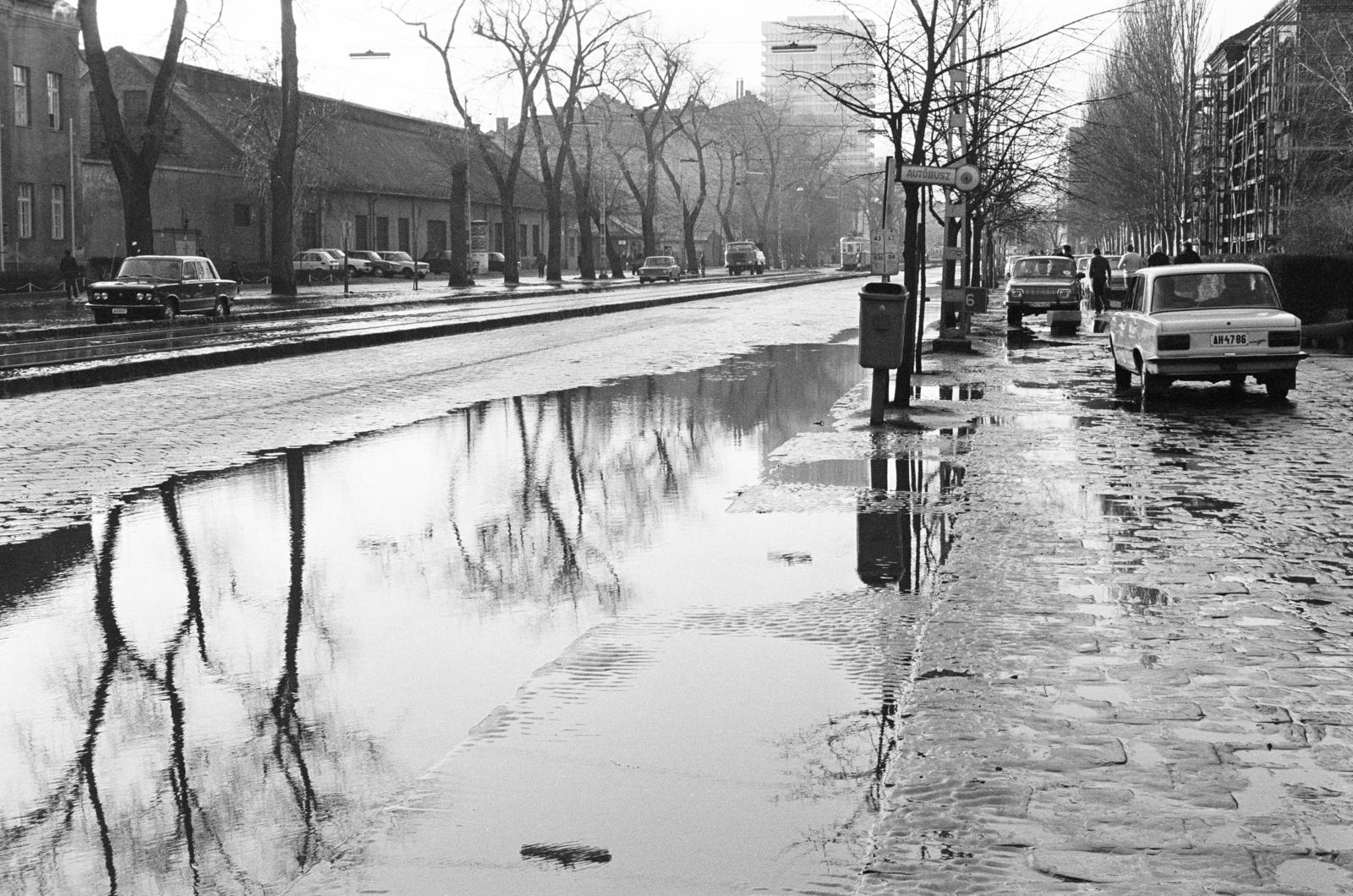 1980, Prohászka Imre, number plate, automobile, puddle, bus stop, Fortepan #288922