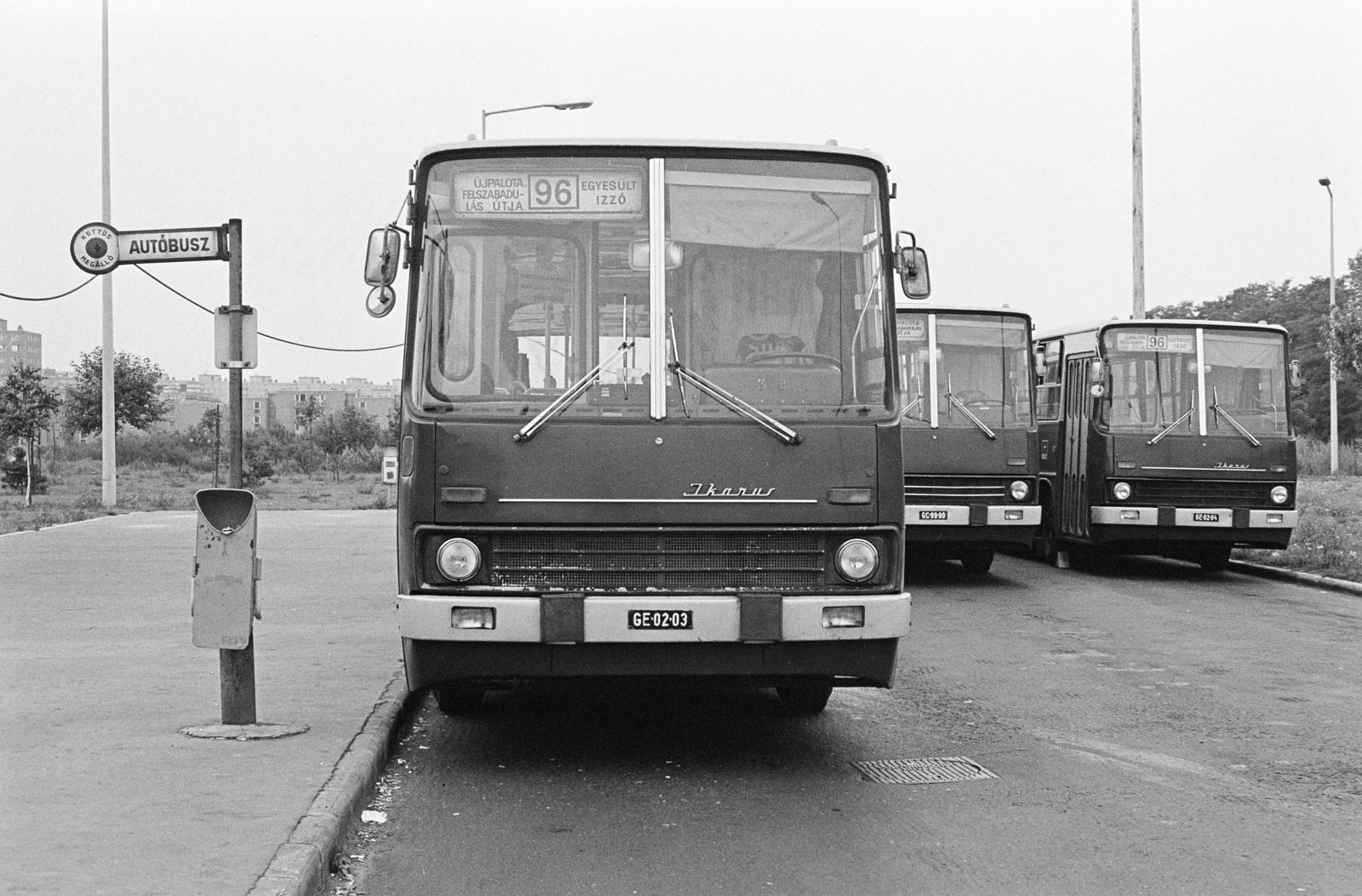 1984, Prohászka Imre, number plate, Fortepan #288980