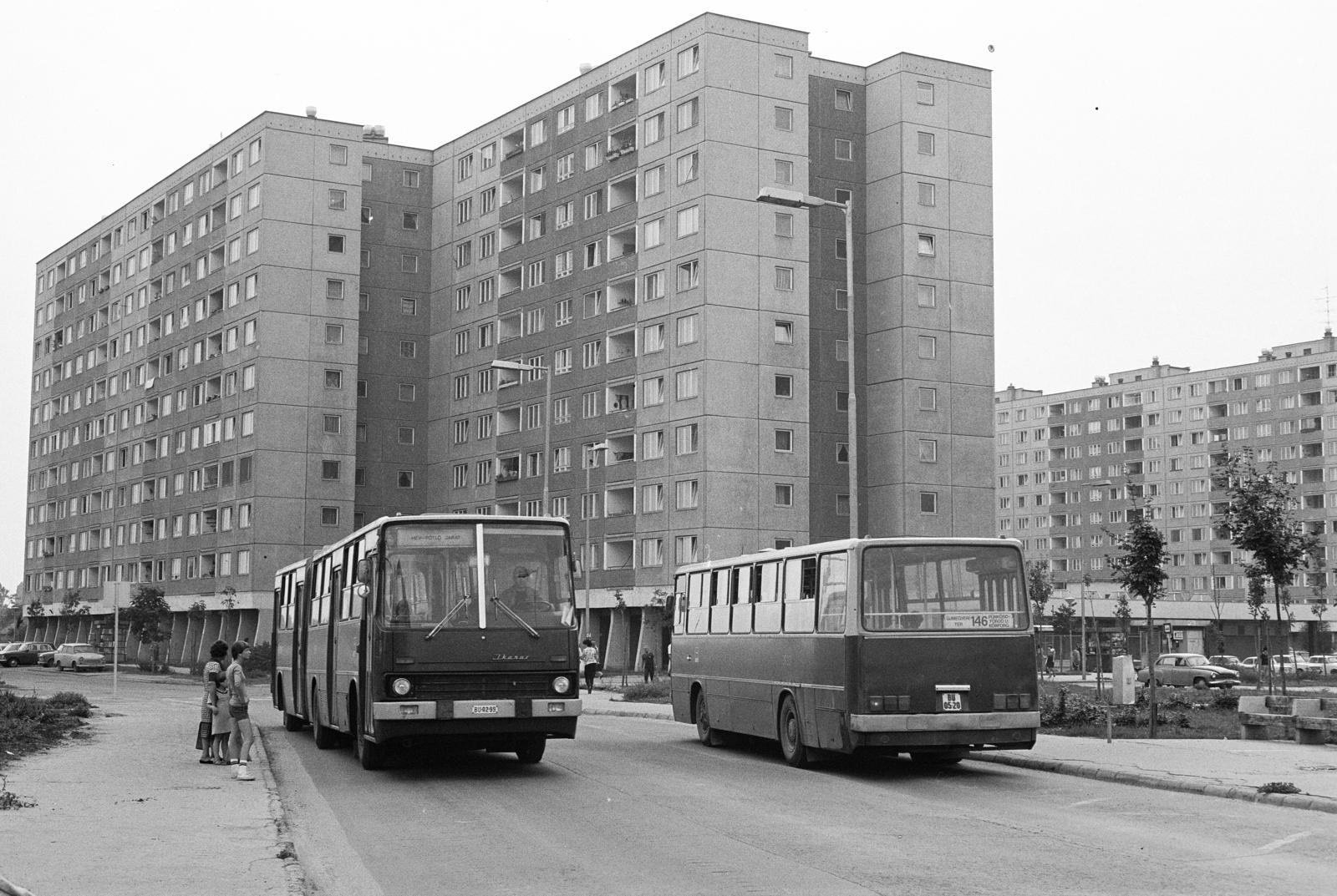 1982, Prohászka Imre, number plate, bus, concrete block of flats, blocks, bus stop, Ikarus-brand, Fortepan #289089