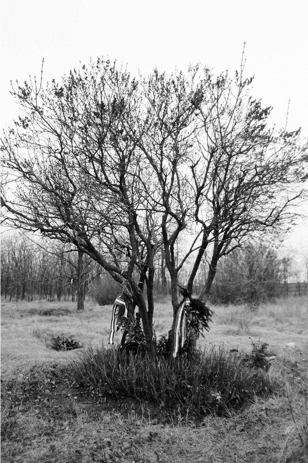 Magyarország, Budapest X., Új Köztemető, 301-es parcella., 1989, Prohászka Imre, Budapest, Fortepan #289304