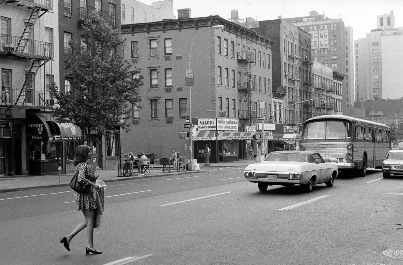 USA, New York, a 2nd Avenue az E 81st Street kereszteződésénél., 1974, Bencseky Mátyás, butcher shop, Hungarian store, Fortepan #289459