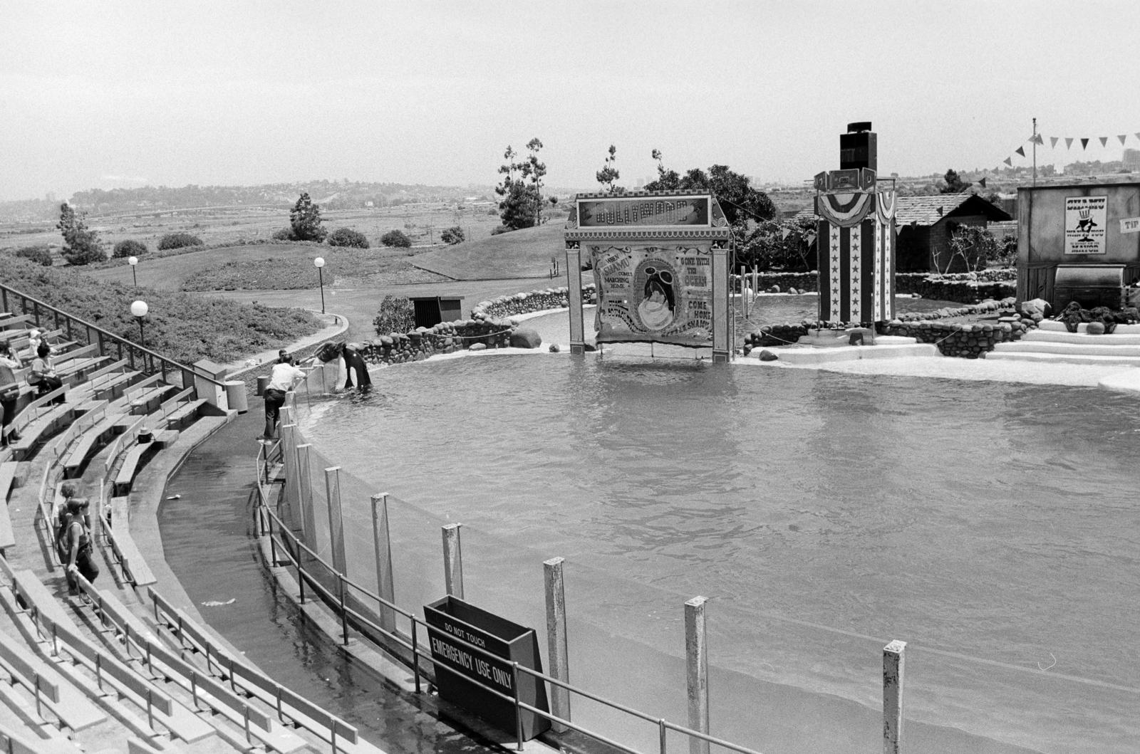 Amerikai Egyesült Államok, San Diego, SeaWorld., 1974, Bencseky Mátyás, medence, Fortepan #289555