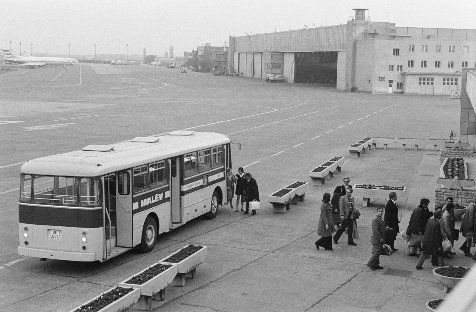 Magyarország, Ferihegyi (ma Liszt Ferenc) repülőtér, Budapest XVIII., 1980, Bencseky Mátyás, Budapest, MALÉV légitársaság, repülőtér, autóbusz, Ikarus 556, Fortepan #289587