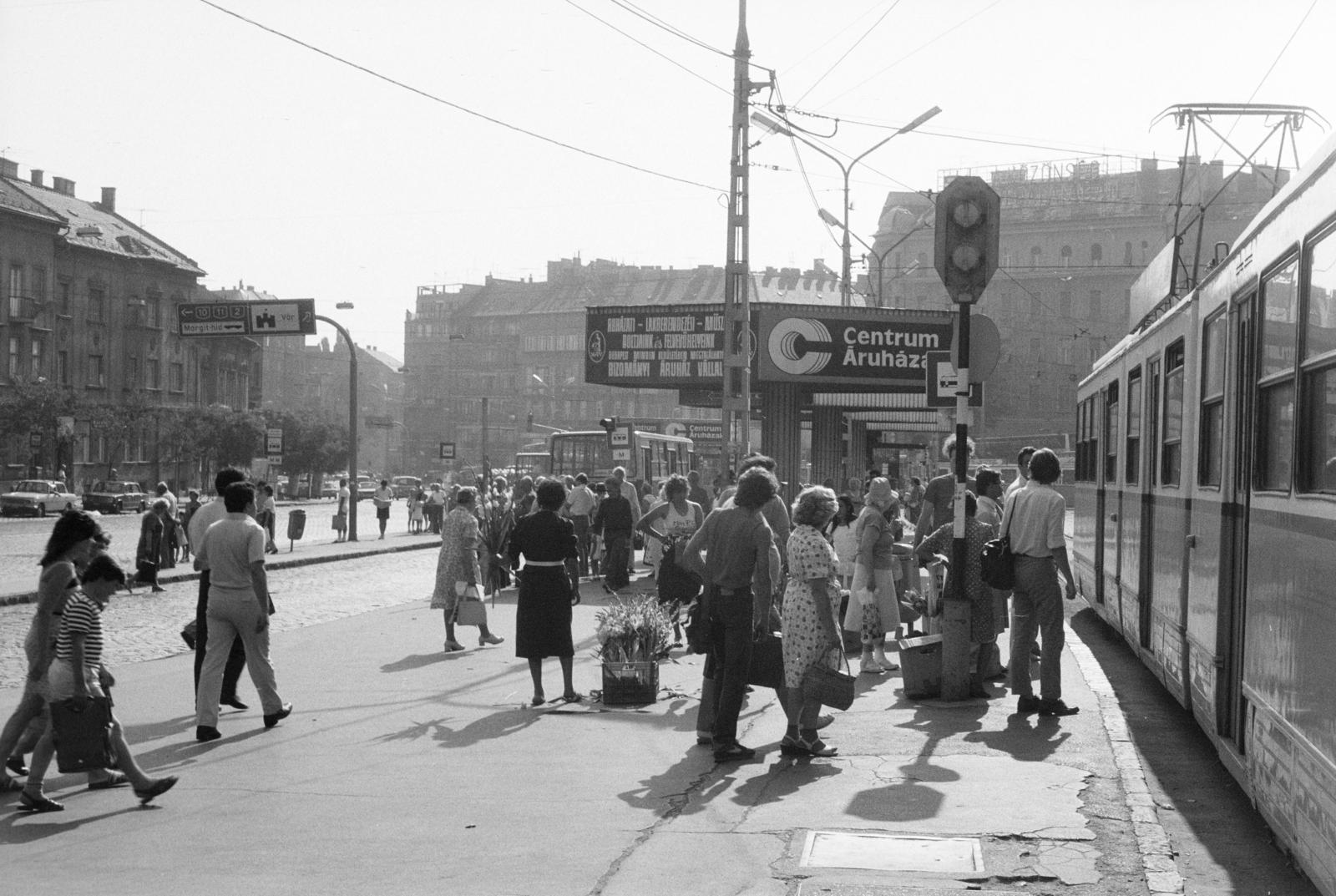 1981, Bencseky Mátyás, Fortepan #289665