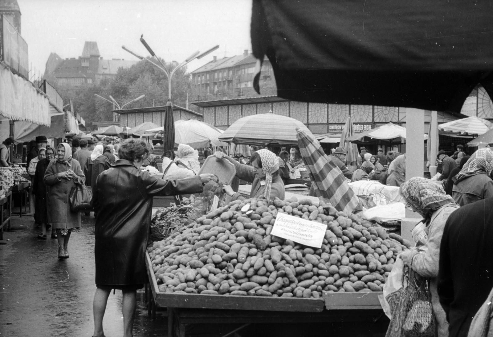 Hungary, Budapest XIII., Lehel (Élmunkás) téri piac, háttérben balra az Árpád-házi Szent Margit-templom, jobbra a Váci út., 1969, Bencseky Mátyás, market, price tag, potato, Budapest, Fortepan #289707