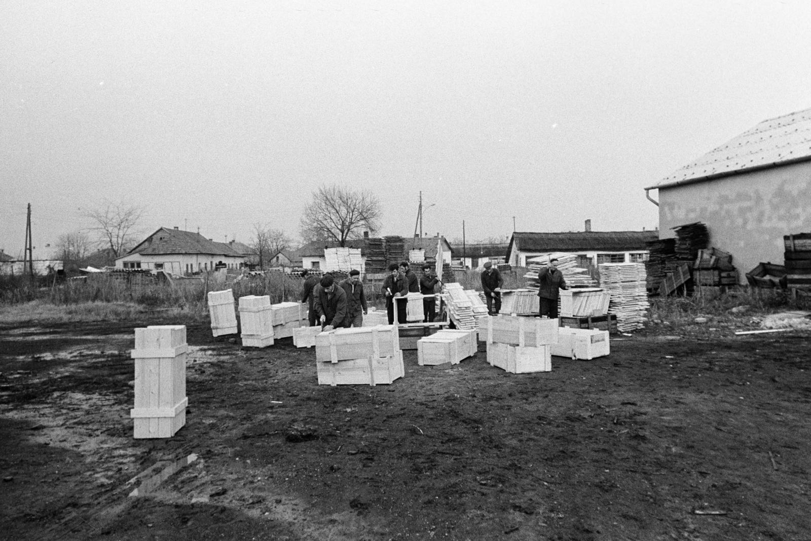 1969, Bencseky Mátyás, chest, Fortepan #289747