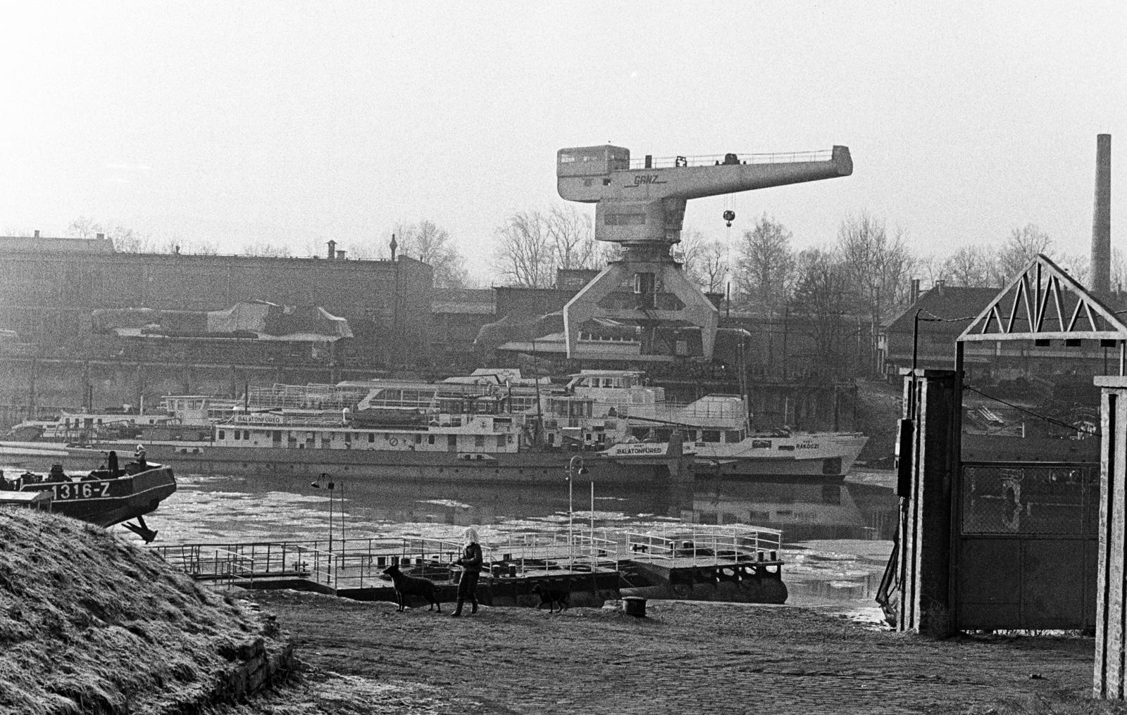 Hungary, Budapest IV., Újpesti-öböl a József Attila utca közelében, szemben a Népszigeten a MAHART hajójavító., 1969, Bencseky Mátyás, crane, shipbuilding, Budapest, Fortepan #289790