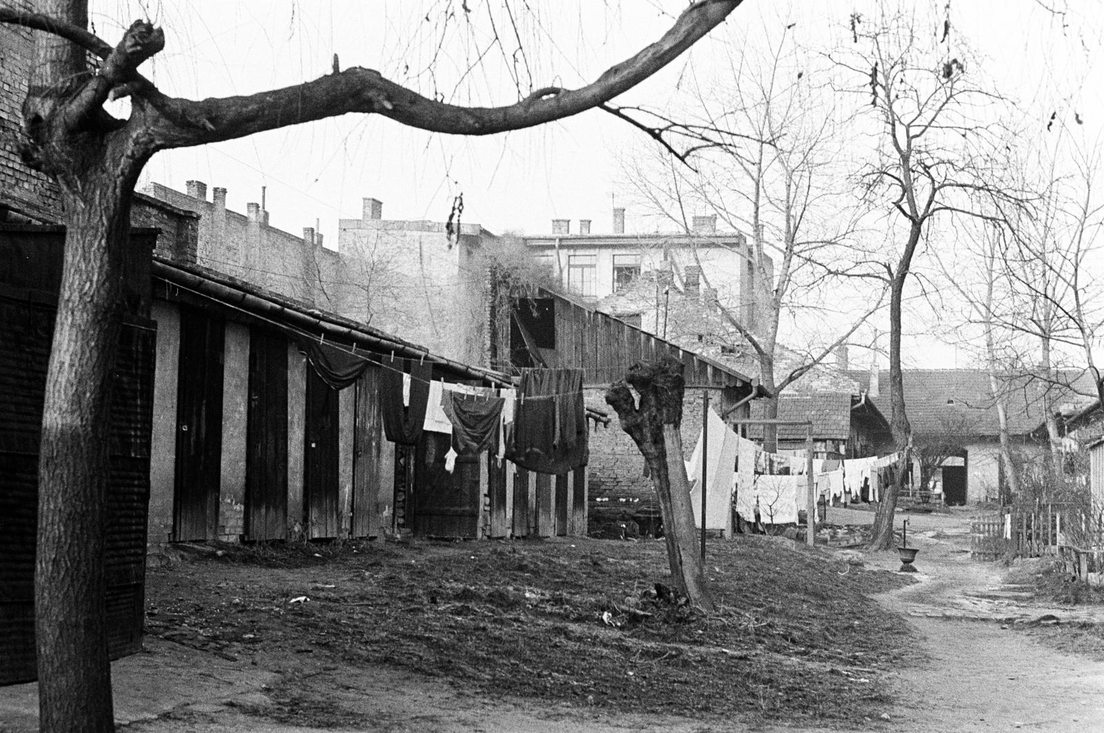 Hungary, Budapest IV., az Árpád út 23. számú ház udvara, háttérben az Árpád út 21. számú épület részlete., 1969, Bencseky Mátyás, Budapest, Fortepan #289793