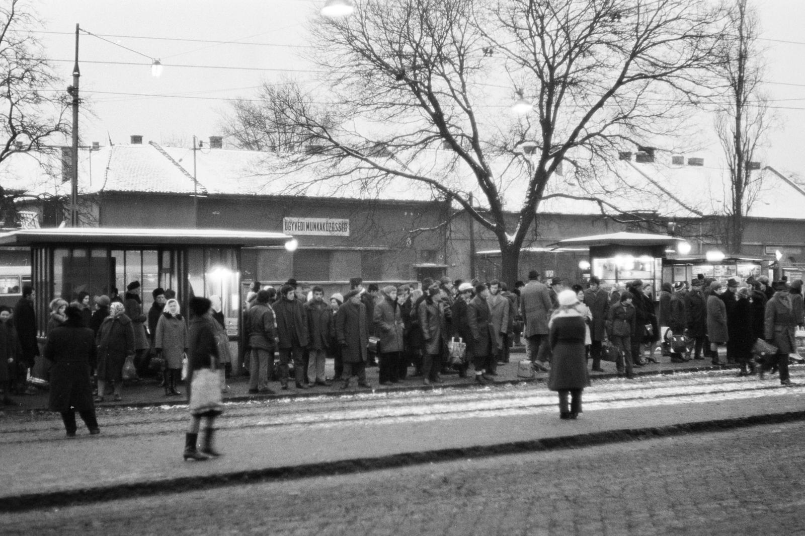 1972, Bencseky Mátyás, Fortepan #289796