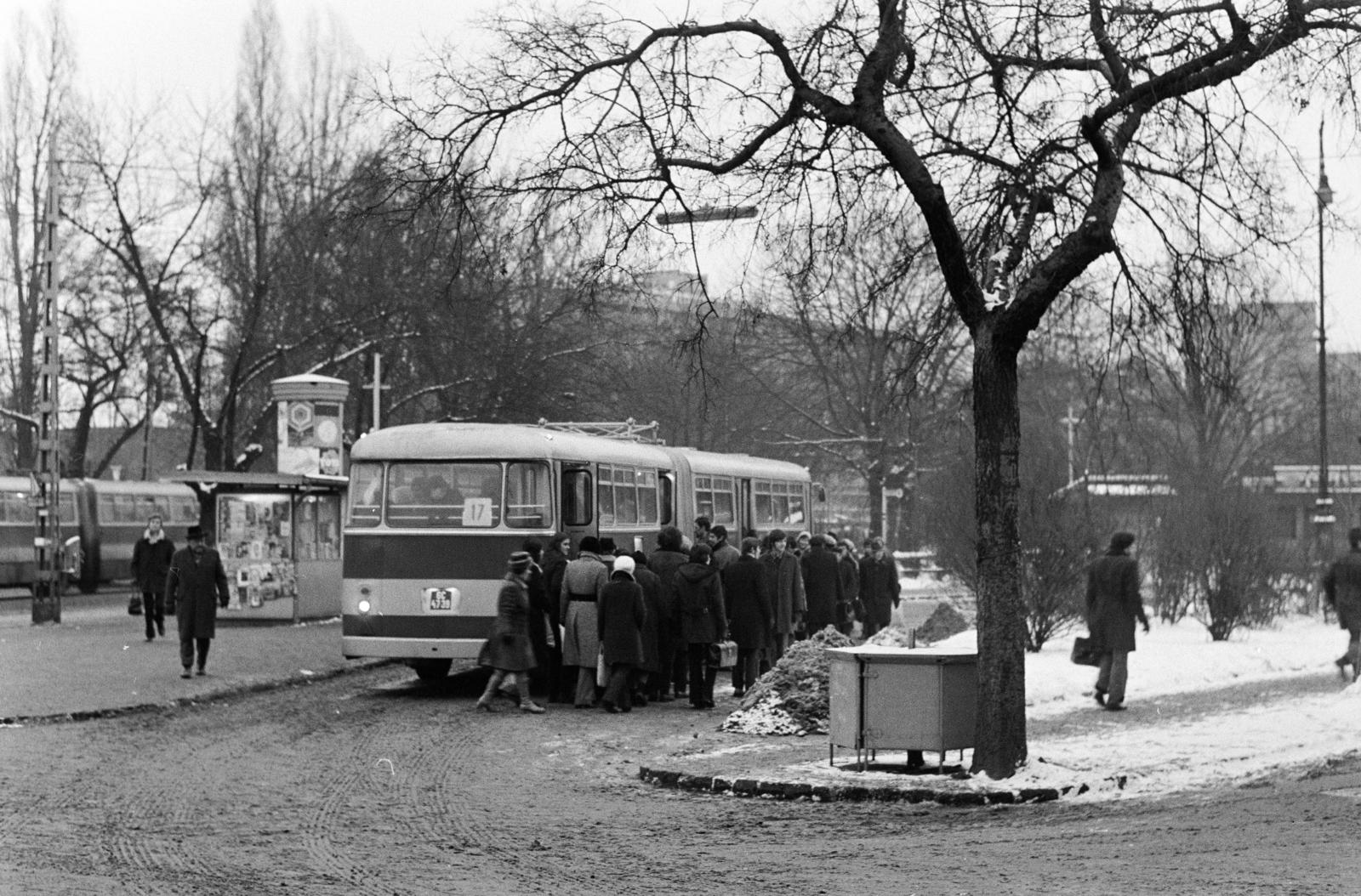 1972, Bencseky Mátyás, autóbusz, viszonylatszám, Fortepan #289799