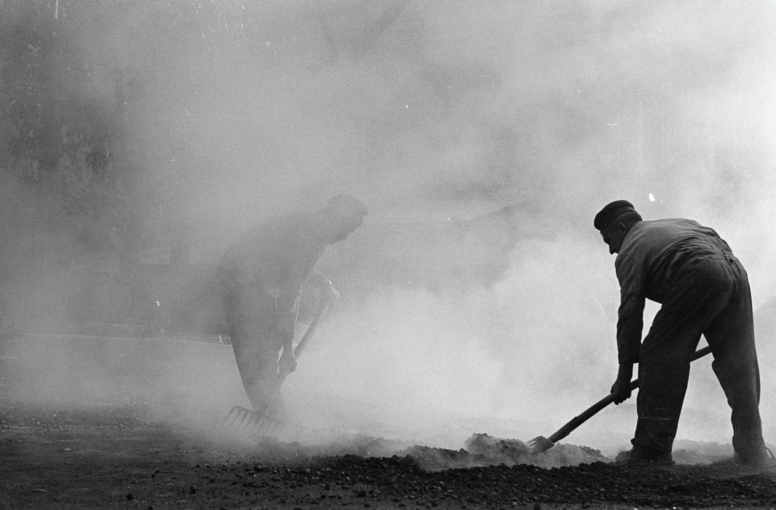1966, Bencseky Mátyás, aszfaltozás, Fortepan #289825