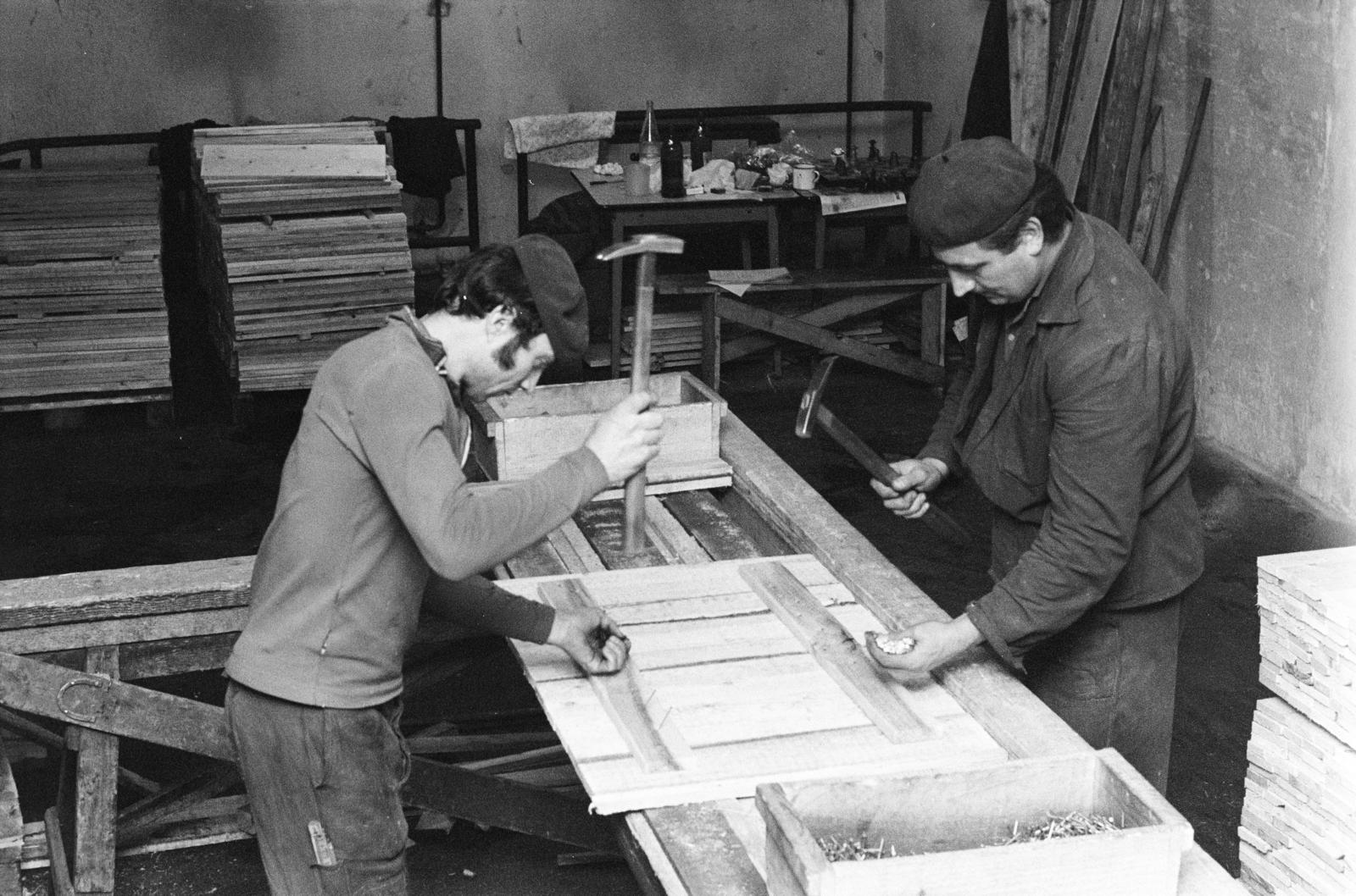 1970, Bencseky Mátyás, chest, carpenter, Fortepan #289840