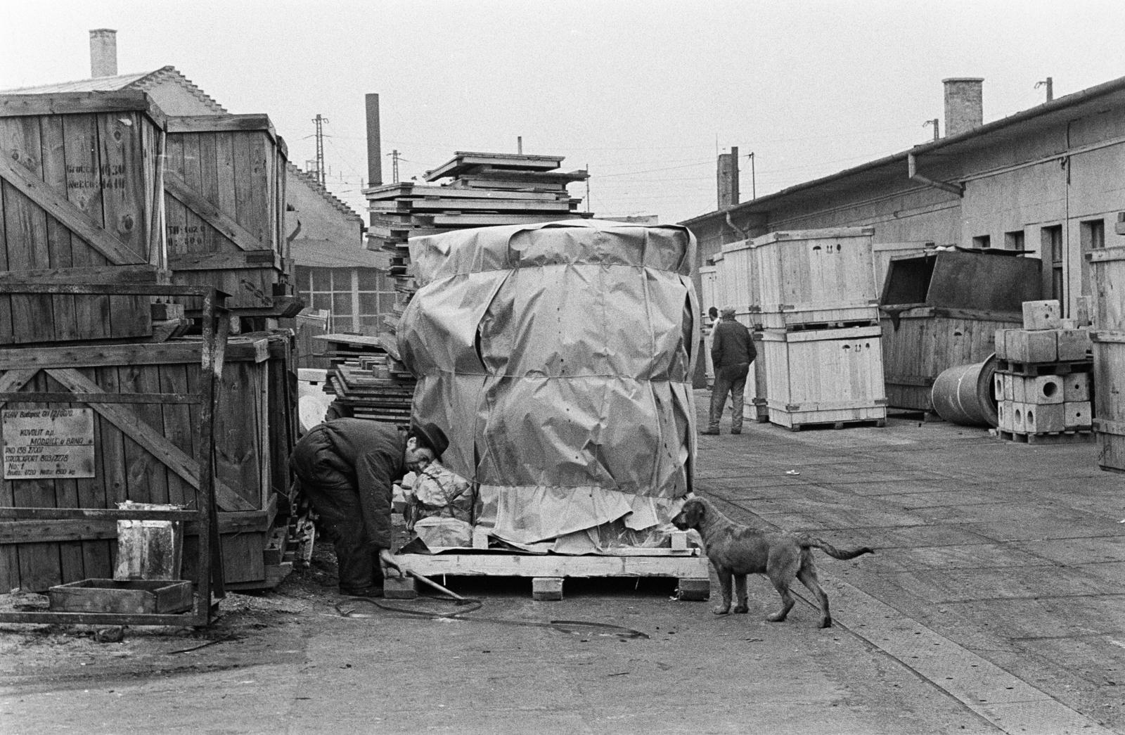 1970, Bencseky Mátyás, Best of, dog, factory, Fortepan #289852