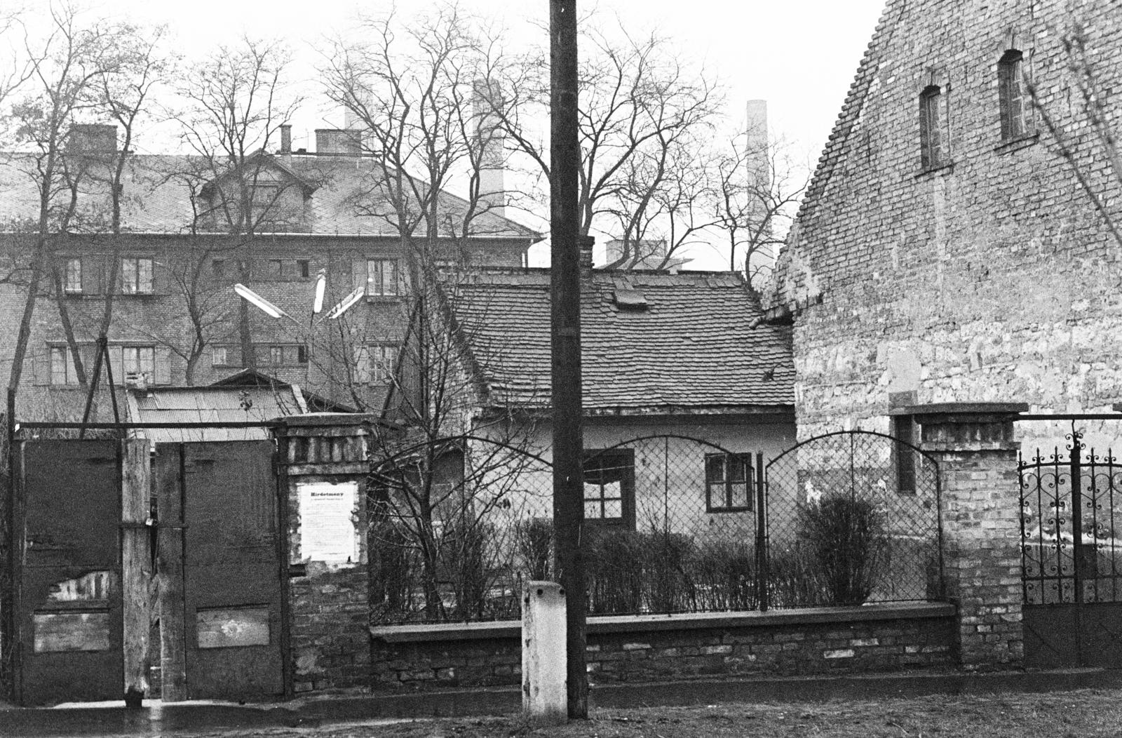 1971, Bencseky Mátyás, kerítés, Fortepan #289856
