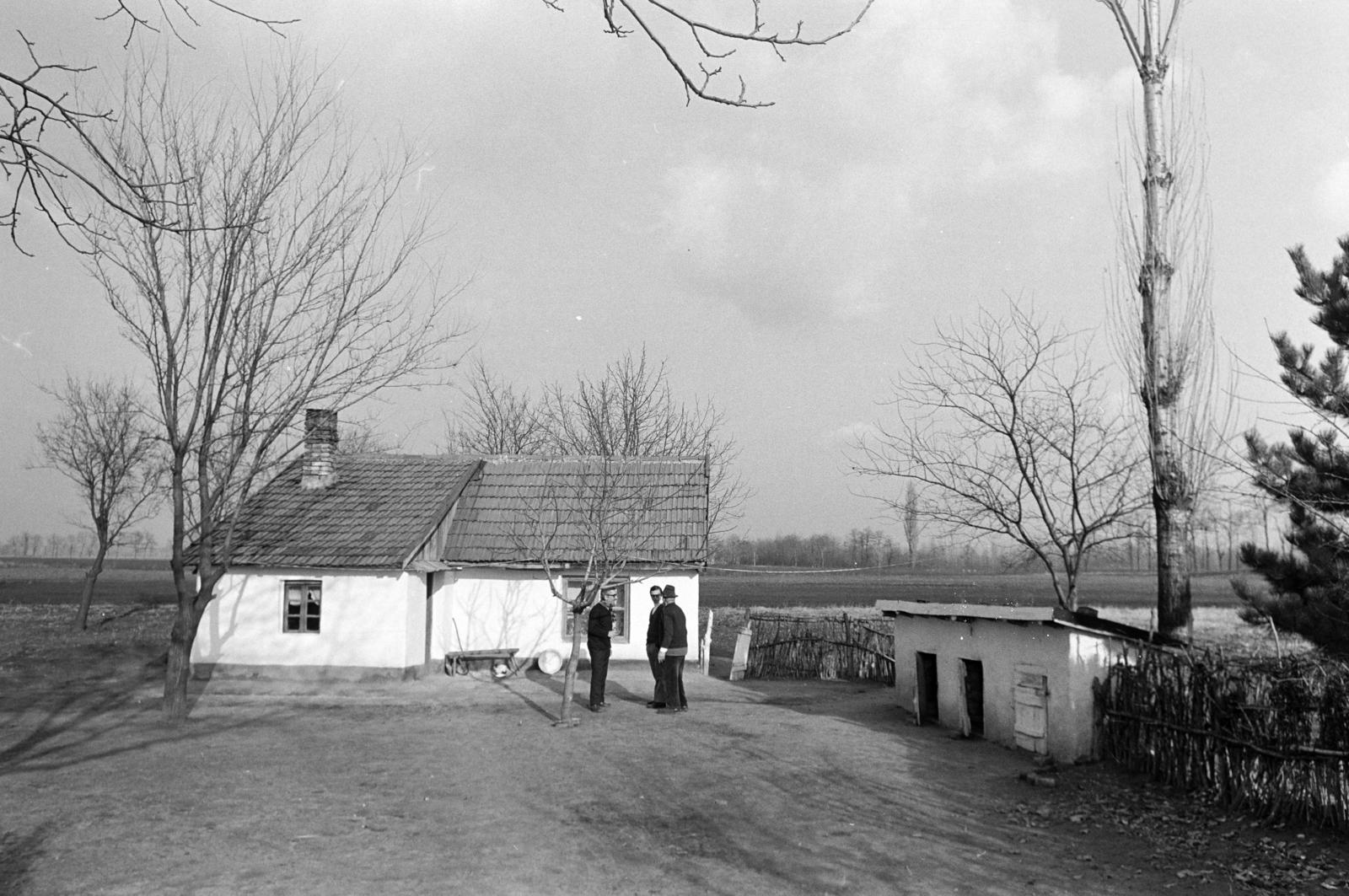 1971, Bencseky Mátyás, tanya, Fortepan #289860