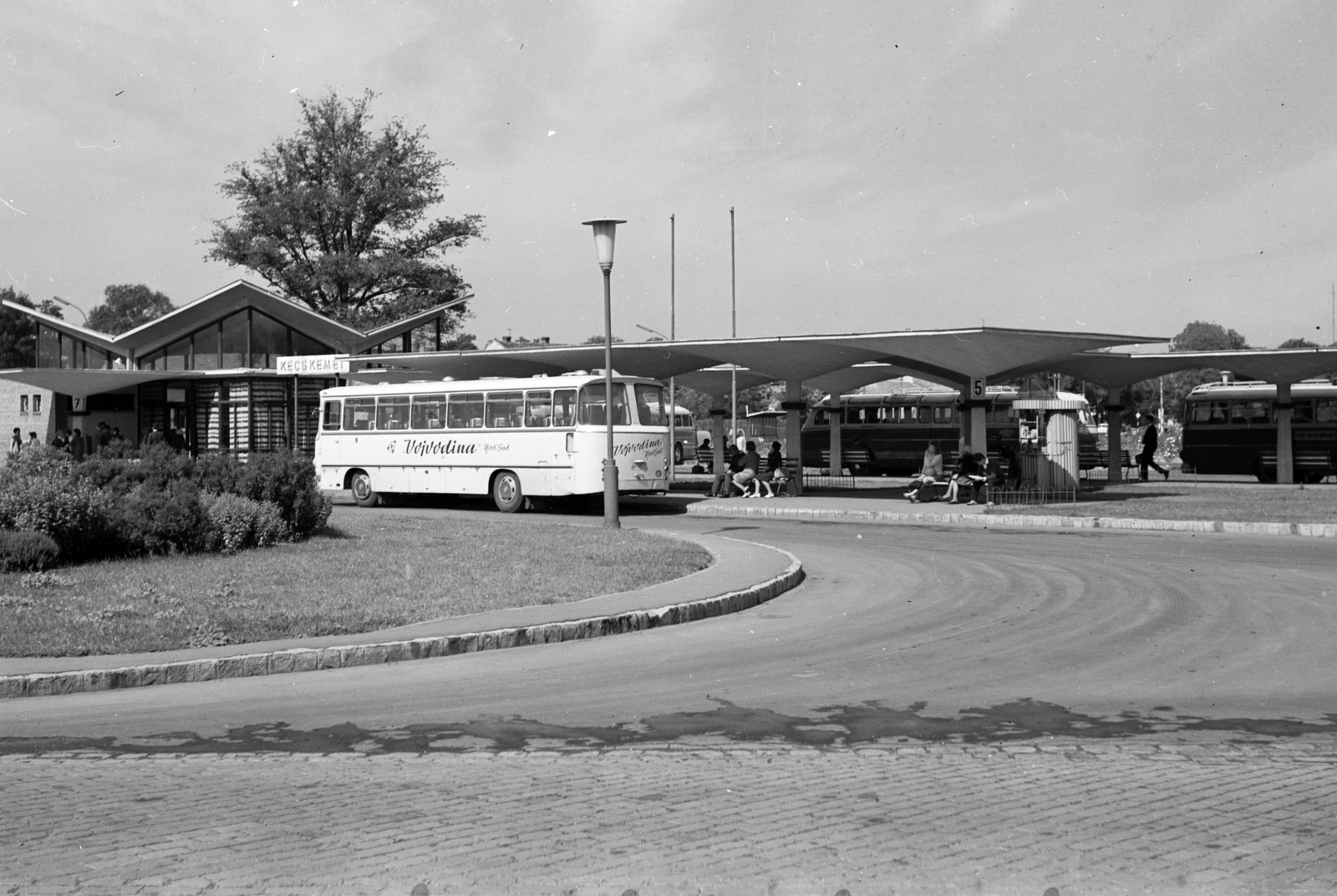 Hungary, Kecskemét, Noszlopy Gáspár (Felszabadulás) park, MÁVAUT autóbusz-állomás., 1966, Építésügyi Dokumentációs és Információs Központ, VÁTI, bus, bus stop, Fortepan #28988