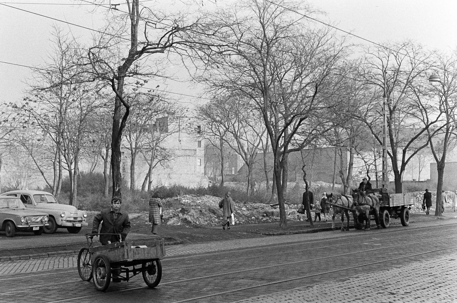 1973, Bencseky Mátyás, Fortepan #289882