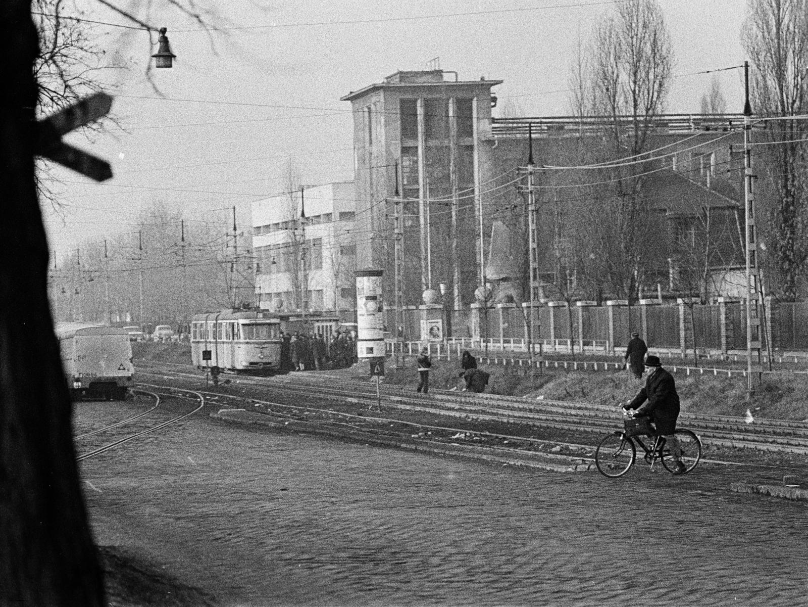 Hungary, Budapest X., Maglódi út, szemben a Növényolaj és Szappangyár előtti villamosmegálló látható., 1973, Bencseky Mátyás, Budapest, bicycle, Fortepan #289883