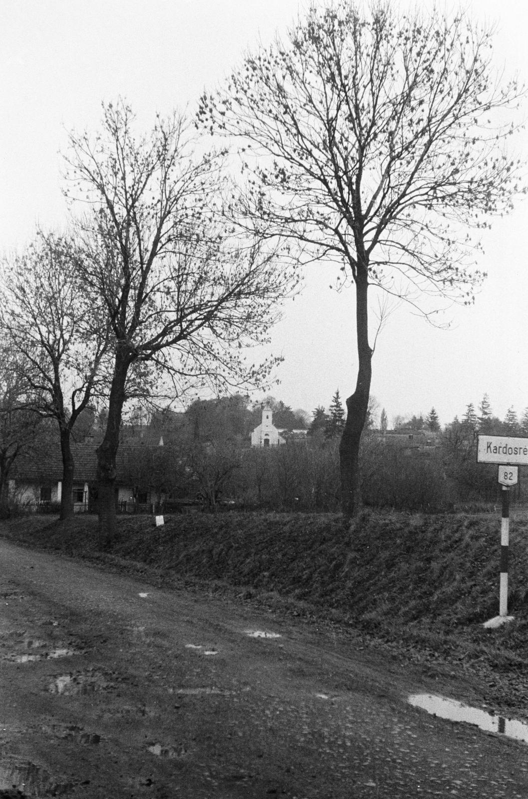 Magyarország, Zirc, a felvétel a városhoz tartozó Kardosrét határában a 82-es főúton készült., 1956, Fóti István örökösei, Fortepan #290065