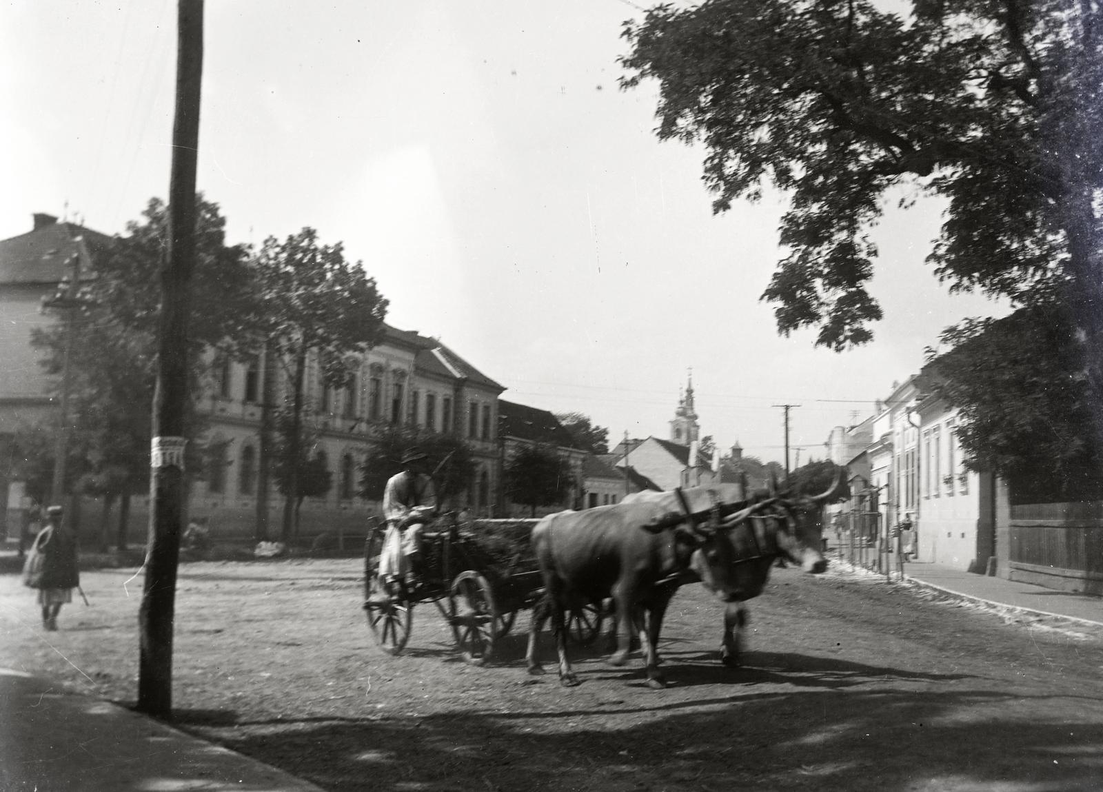 1928, Hegyvidéki Helytörténeti Gyűjtemény, chariot, cattle, yoke, Fortepan #290103