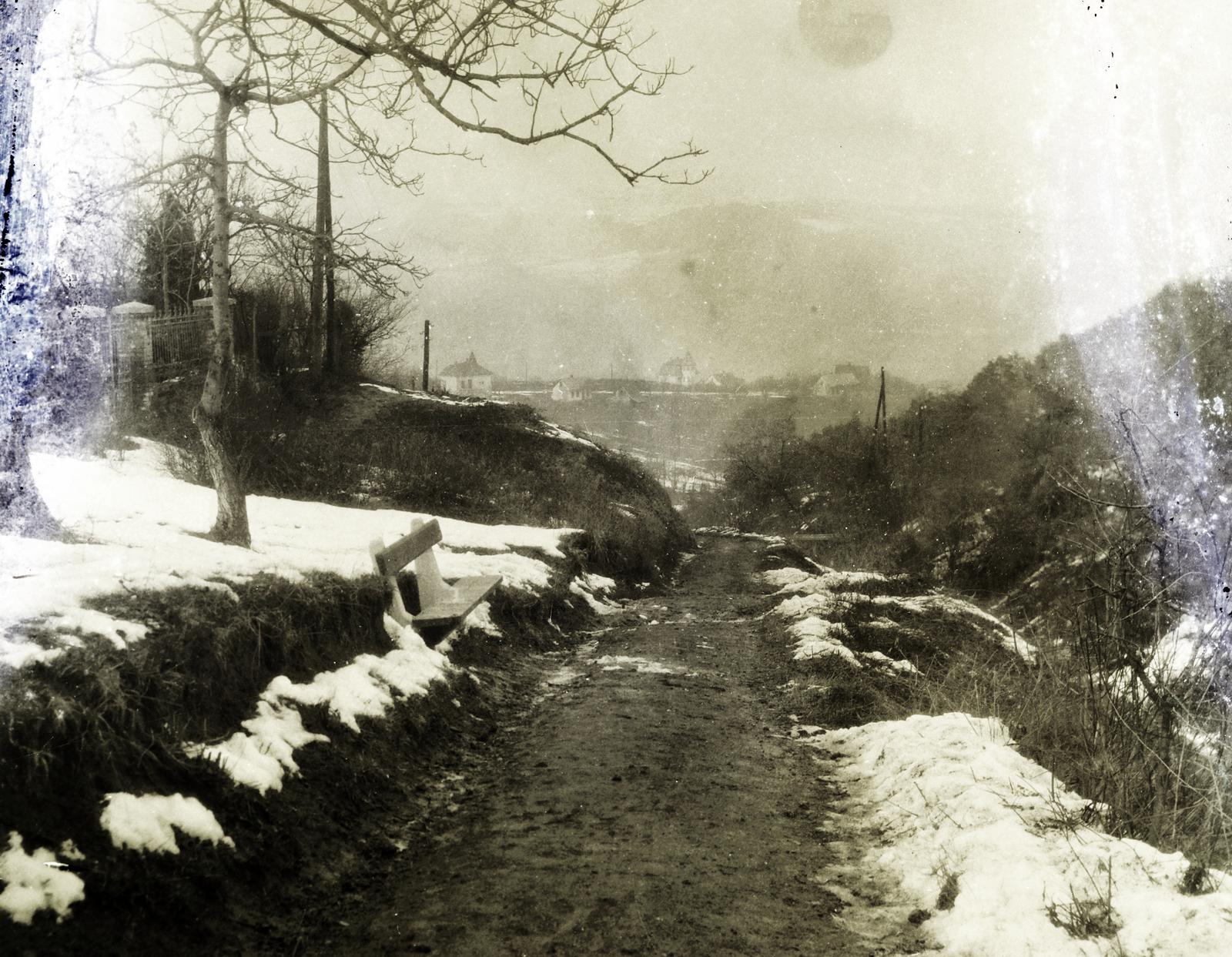 Magyarország, Budapest XII., Diós-árok., 1928, Hegyvidéki Helytörténeti Gyűjtemény, hegyoldal, pad, ösvény, Budapest, Fortepan #290104