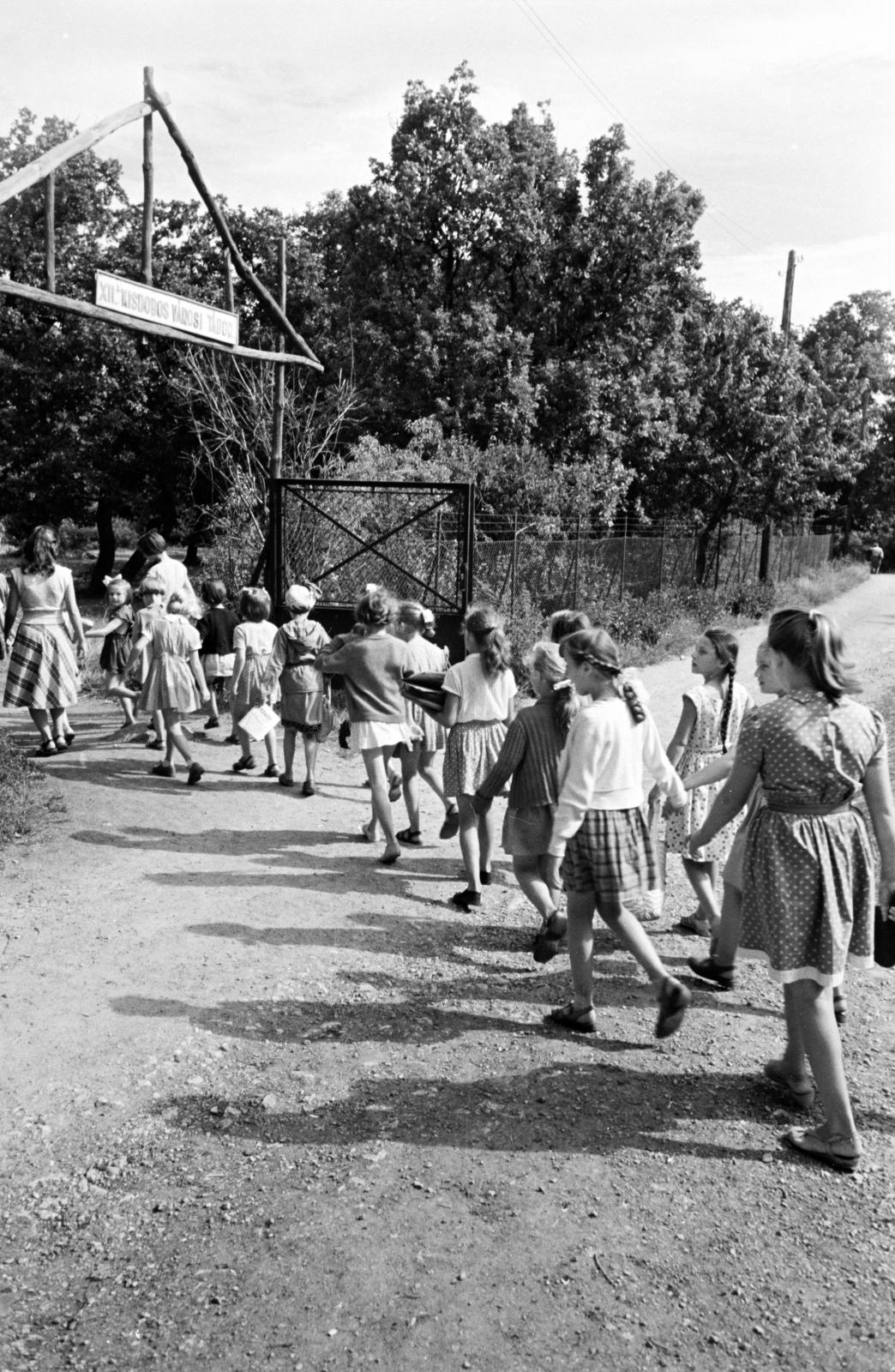 Magyarország, Budapest XII., Fülemile út 5., XII. kerületi Kisdobos Városi Tábor / Fülemile-tábor, a felvétel a tábor kapuja előtt készült., 1958, Hegyvidéki Helytörténeti Gyűjtemény, kapu, kisdobos, tábor, háttal, Budapest, Fortepan #290114
